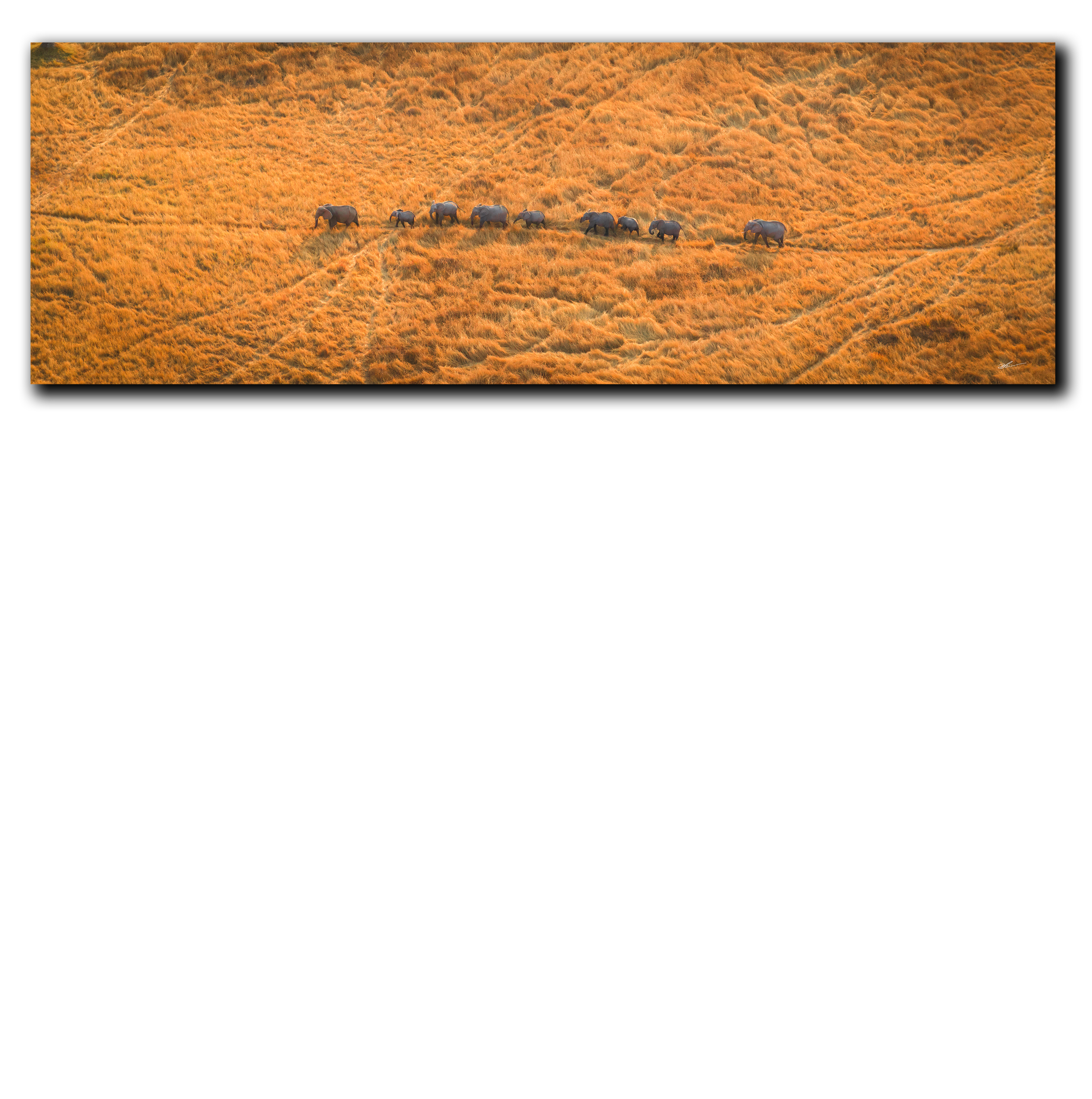 Dropshadow-Recovered.png