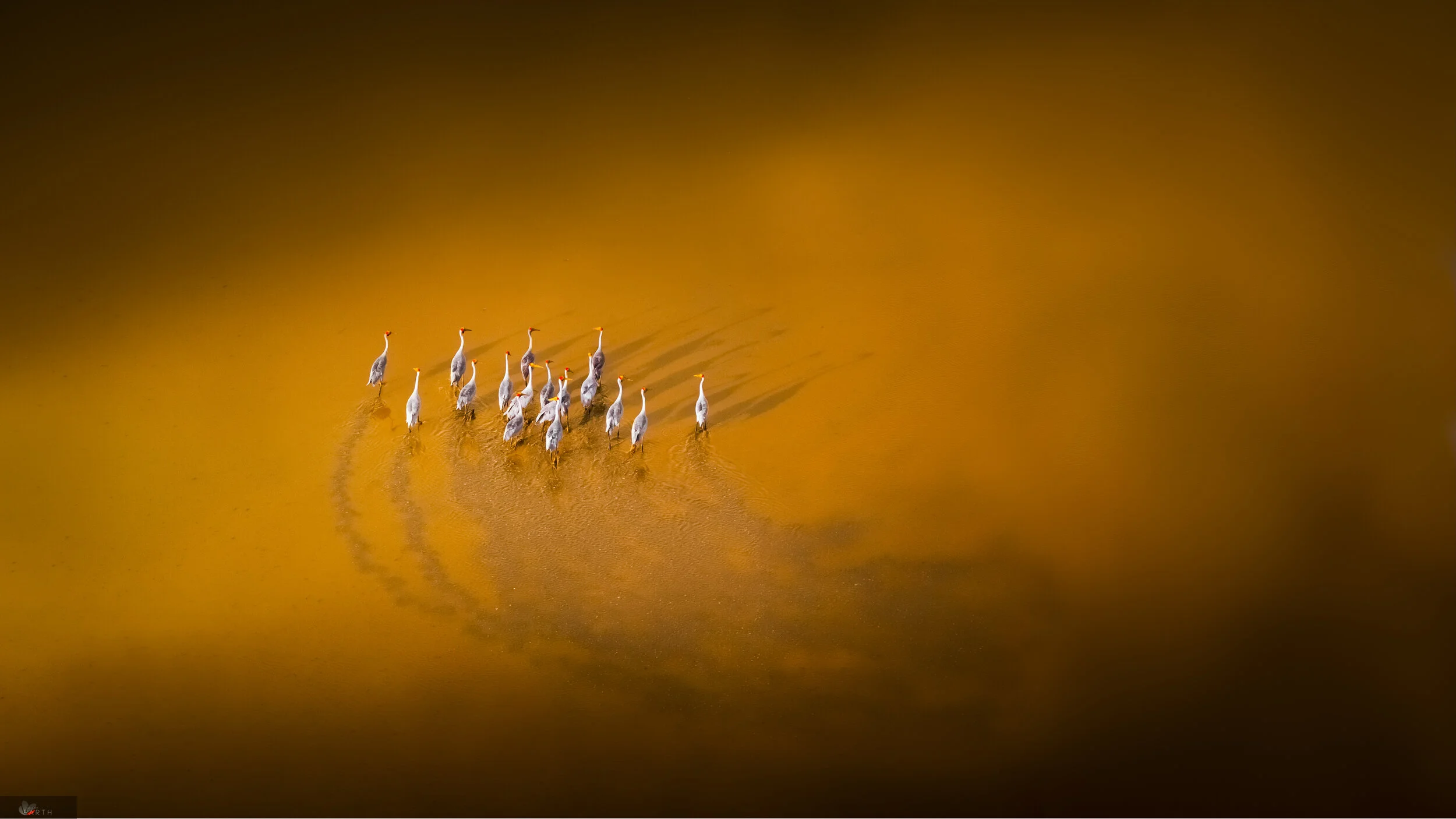 Kakadu light.jpg