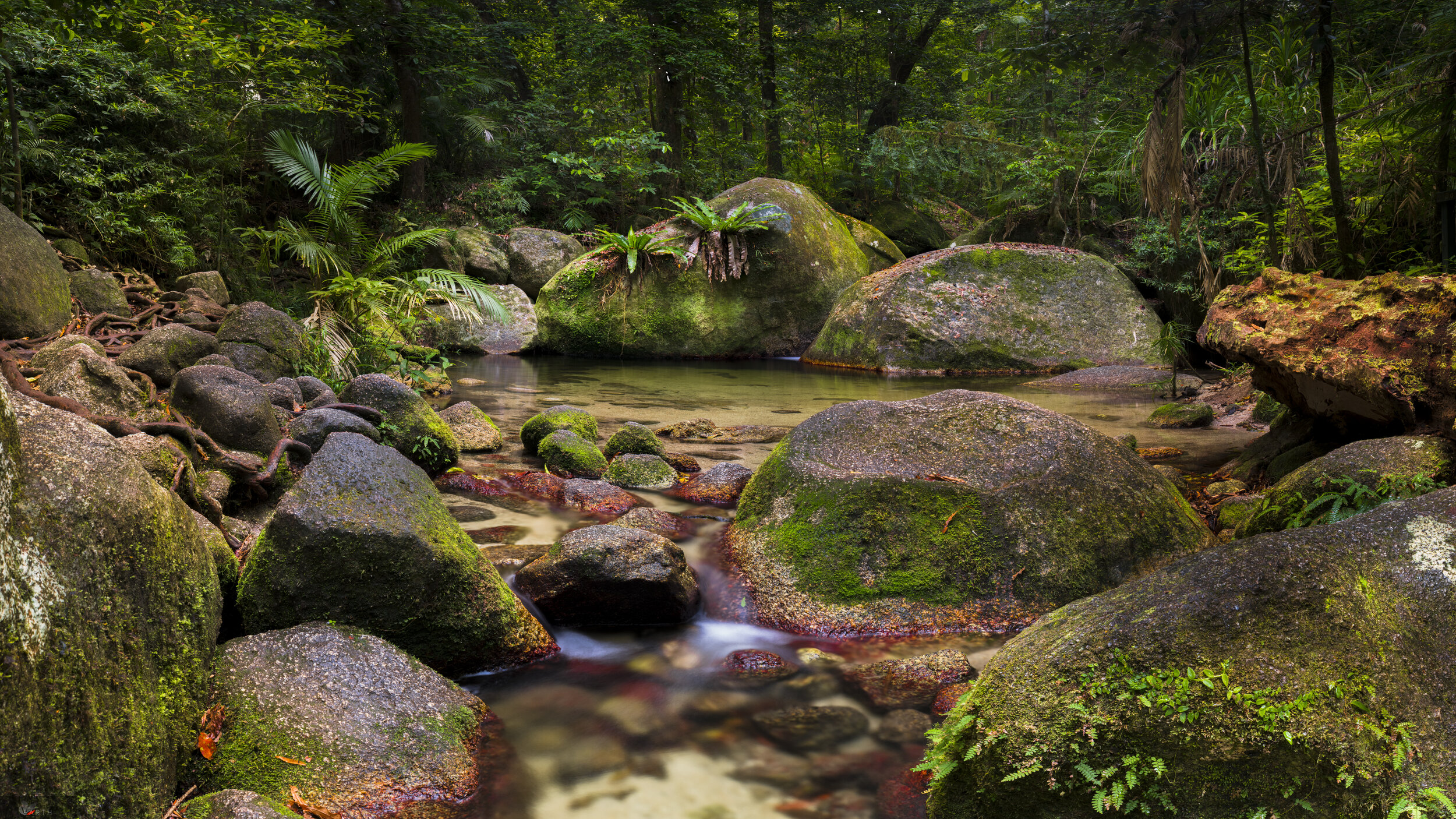 Deep Forest