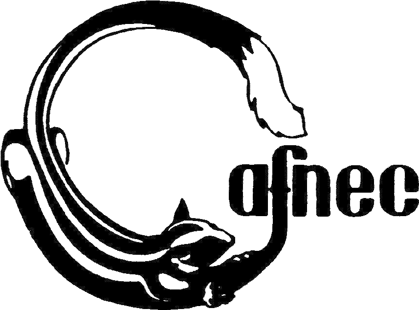PinClipart.com_tidal-wave-clip-art_605767.png
