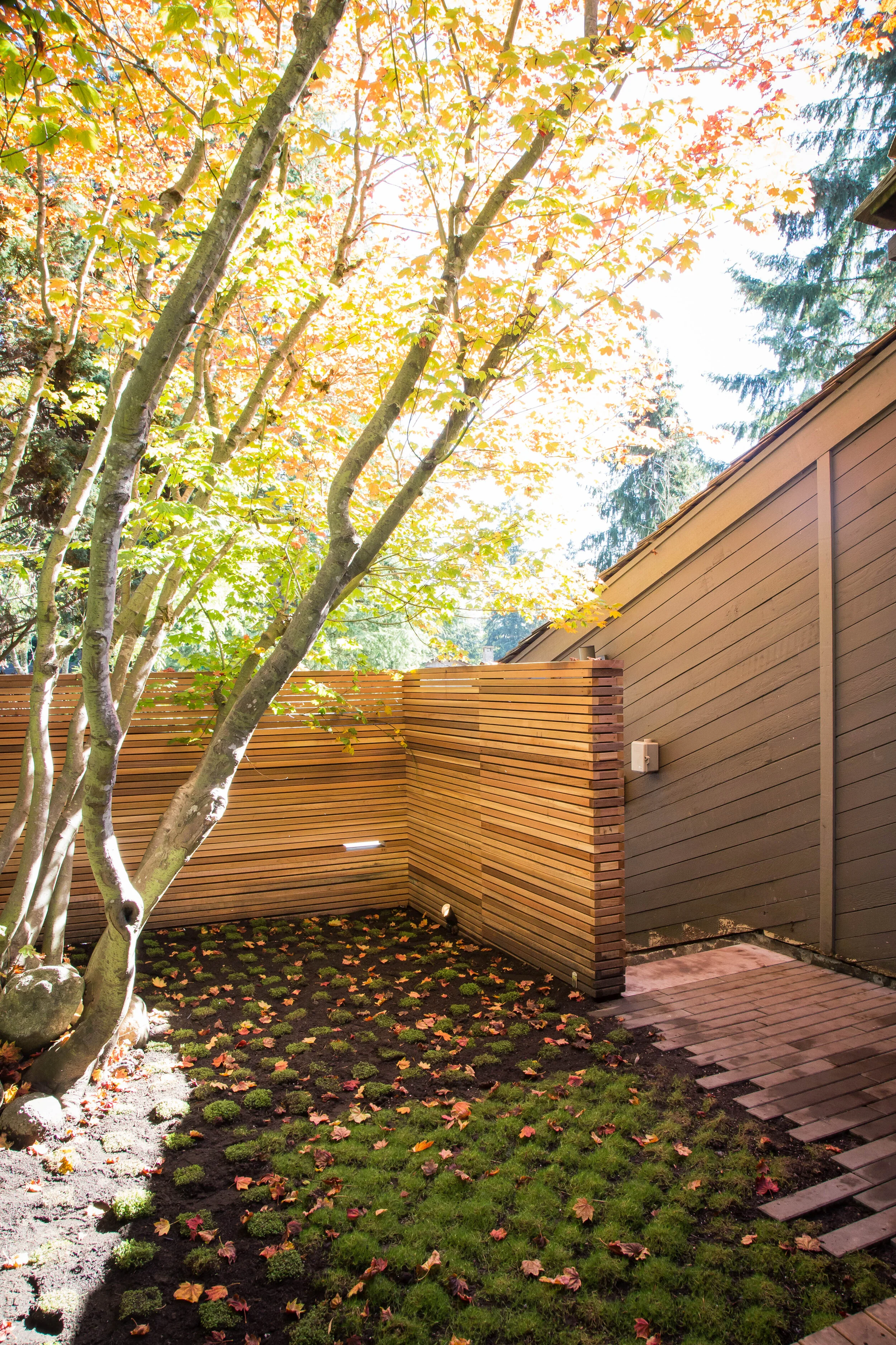 Vancouver-landscaper-brad-saugstad-9012.jpg