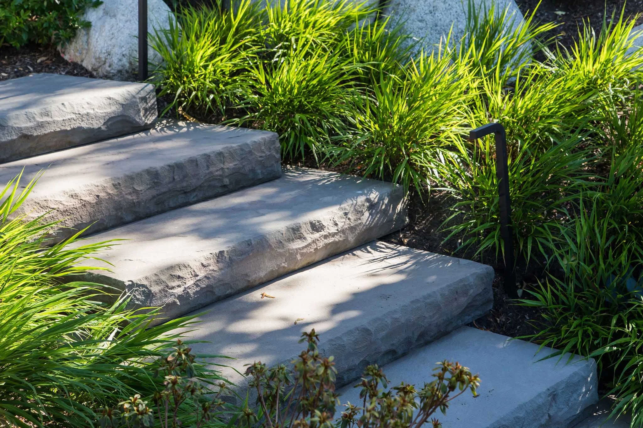 terraform-landscaping-west-vancouver-iii-33.jpg