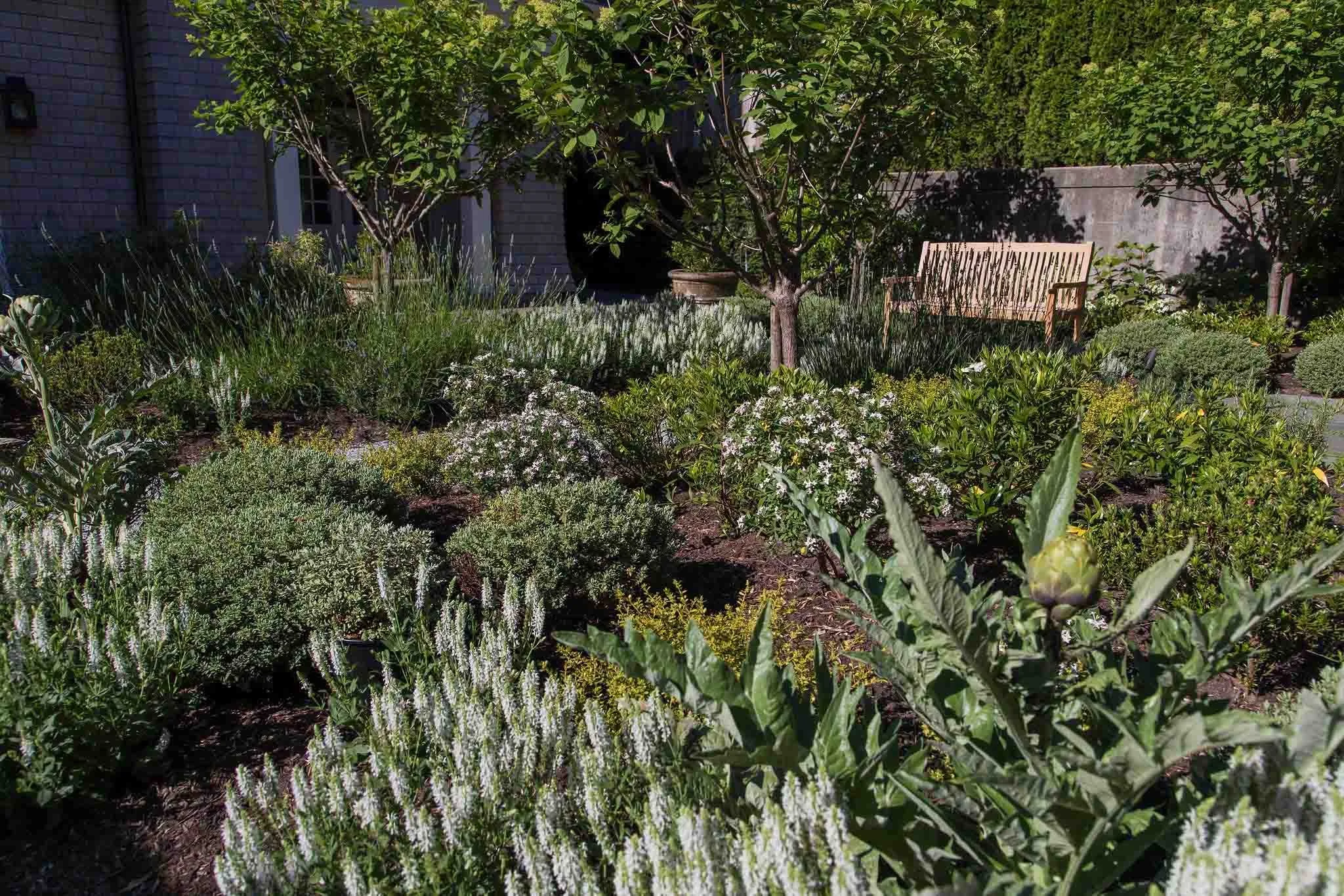terraform-landscaping-west-vancouver-iii-24.jpg