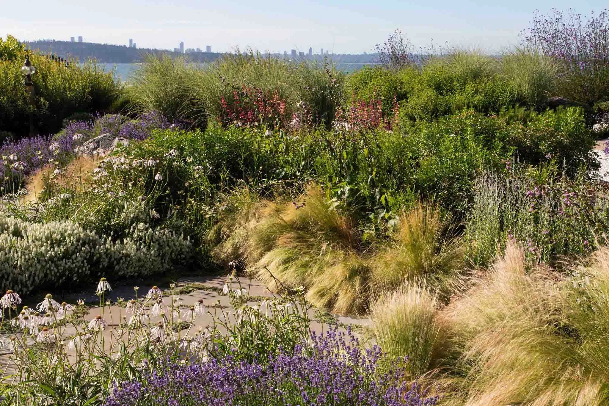 terraform-landscaping-west-vancouver-iii-14.jpg
