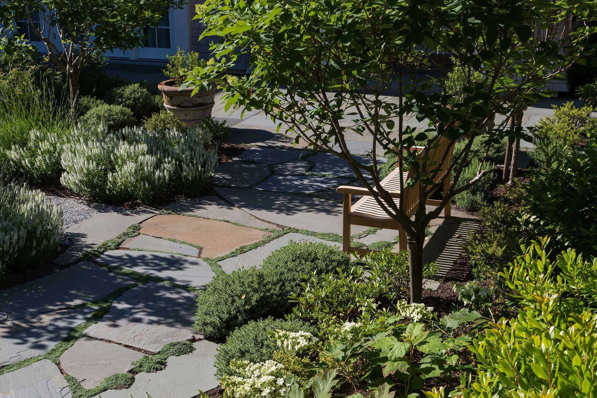 terraform-landscaping-west-vancouver-iii-26.jpg
