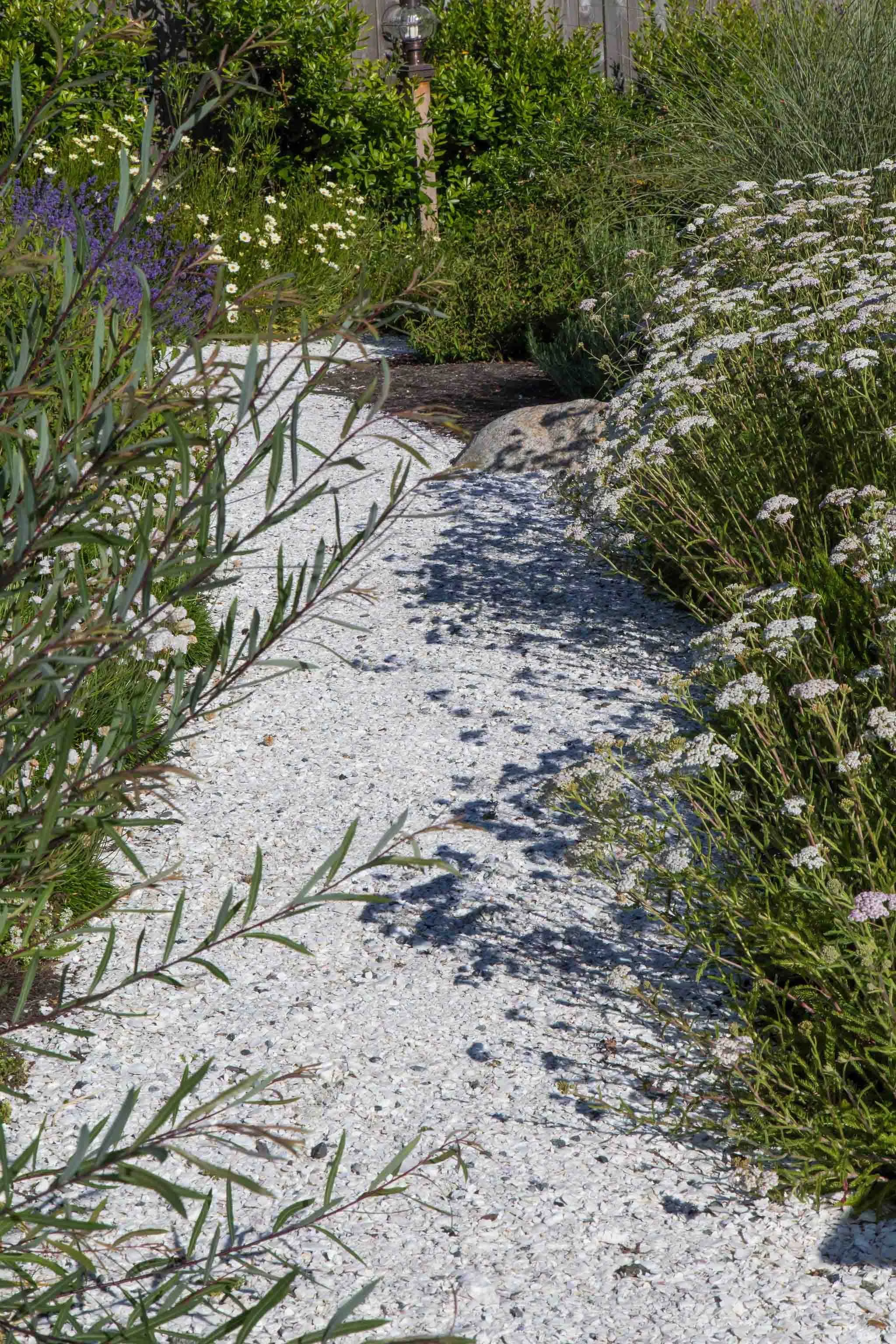 terraform-landscaping-west-vancouver-iii-3.jpg