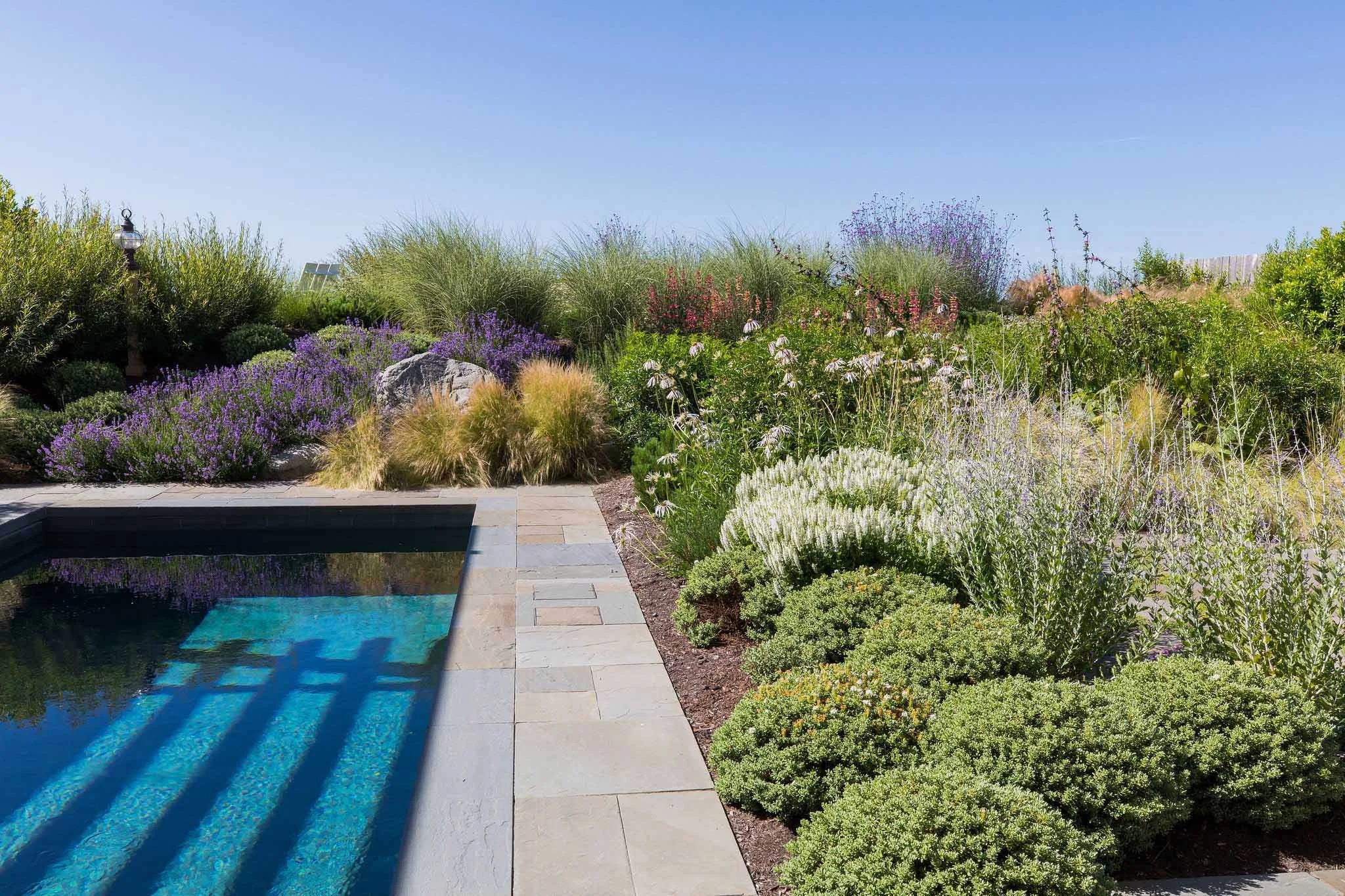 terraform-landscaping-west-vancouver-iii-38.jpg