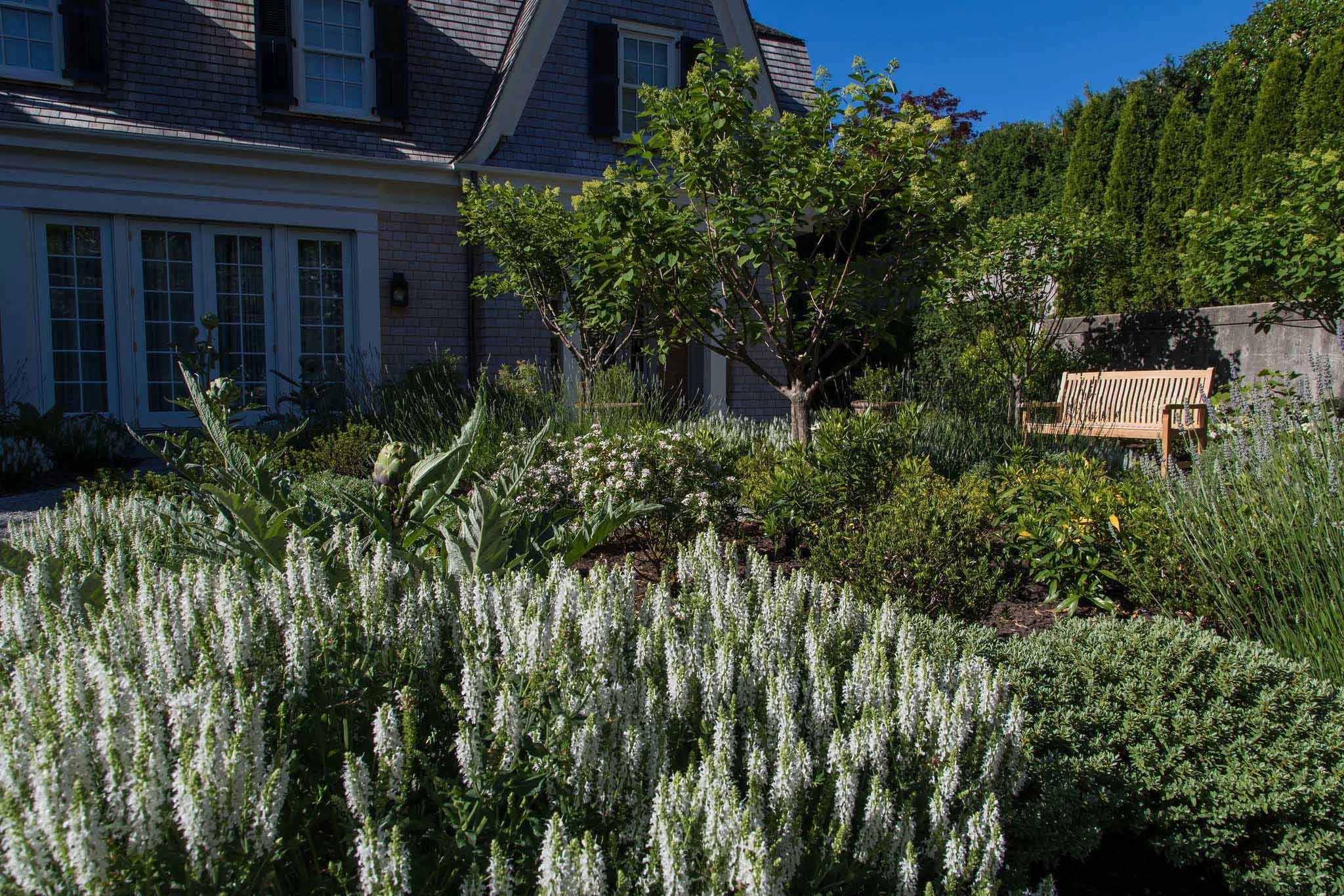 terraform-landscaping-west-vancouver-iii-25.jpg