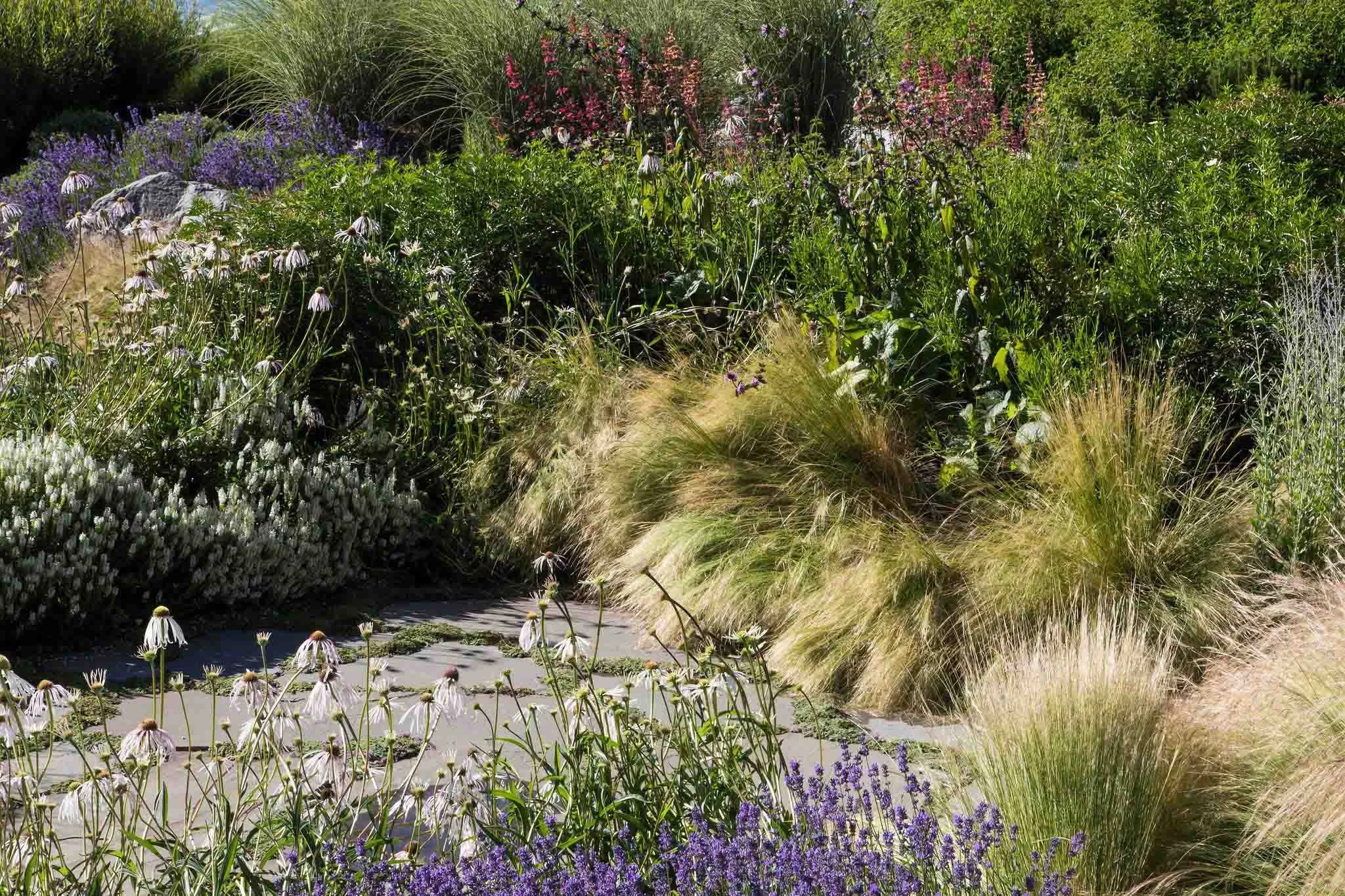 terraform-landscaping-west-vancouver-iii-13.jpg