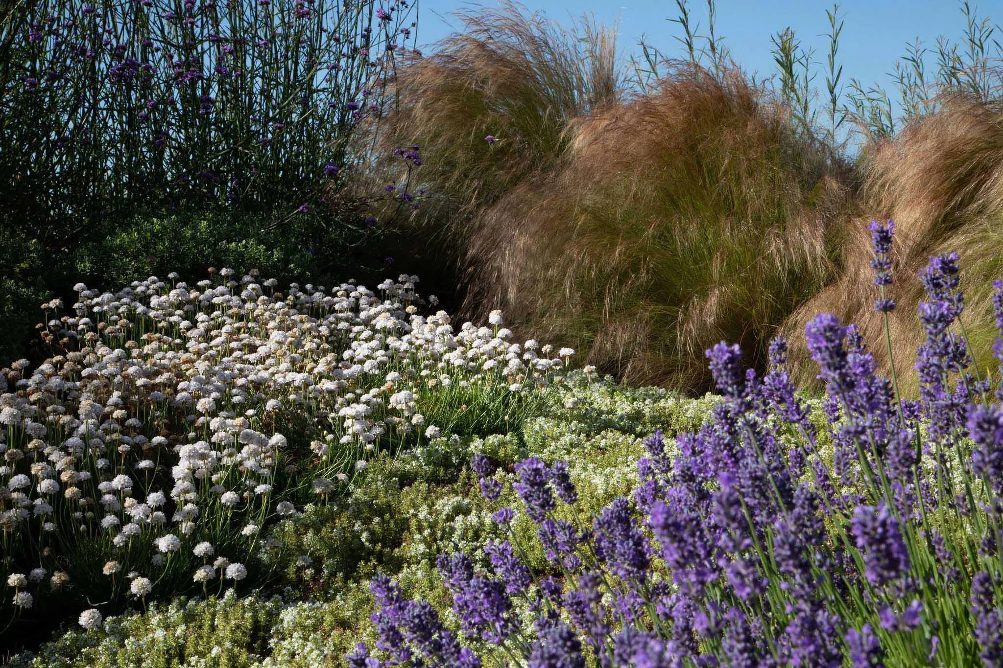 terraform-landscaping-west-vancouver-iii-4.jpg