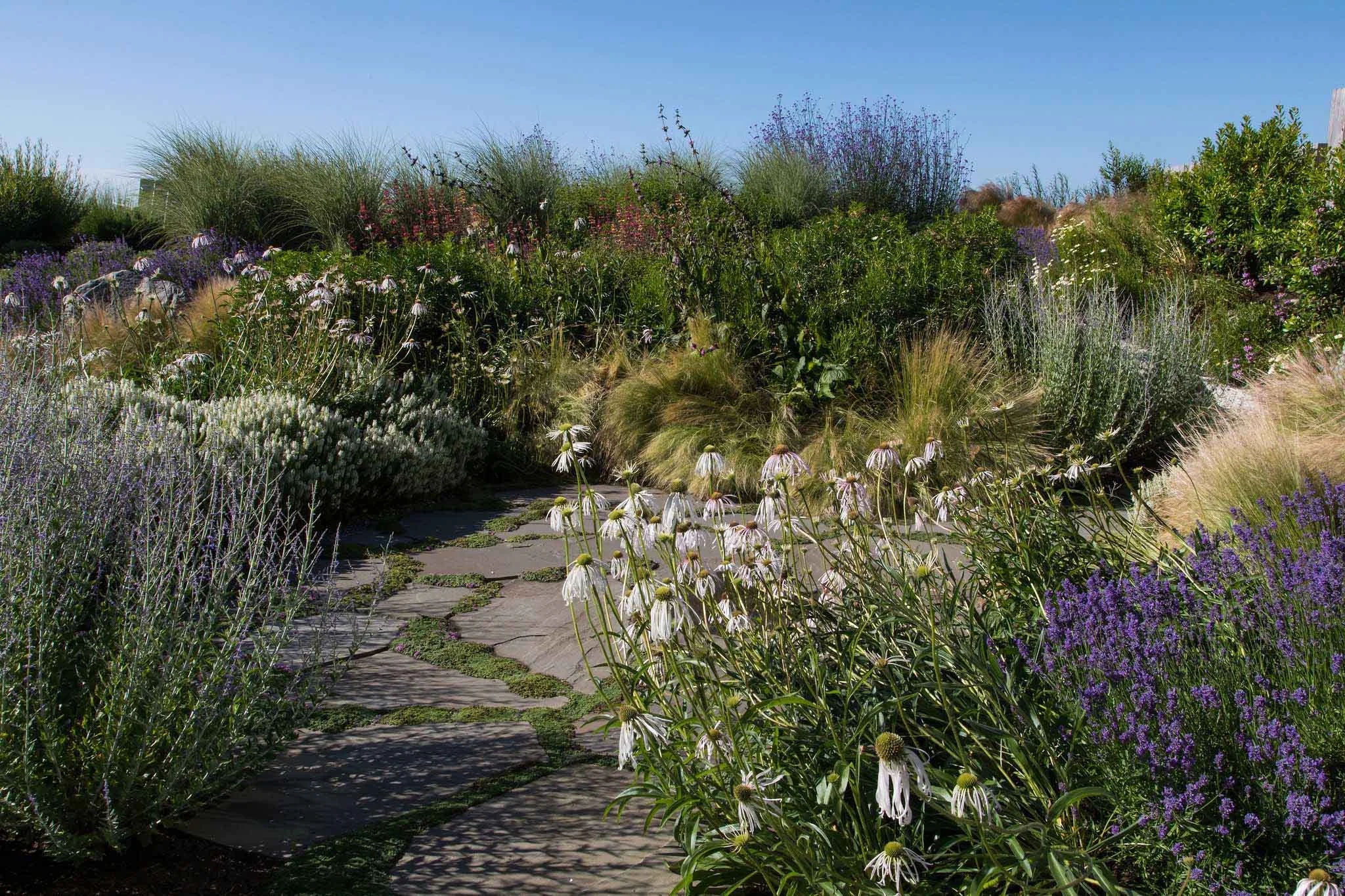 terraform-landscaping-west-vancouver-iii-11.jpg