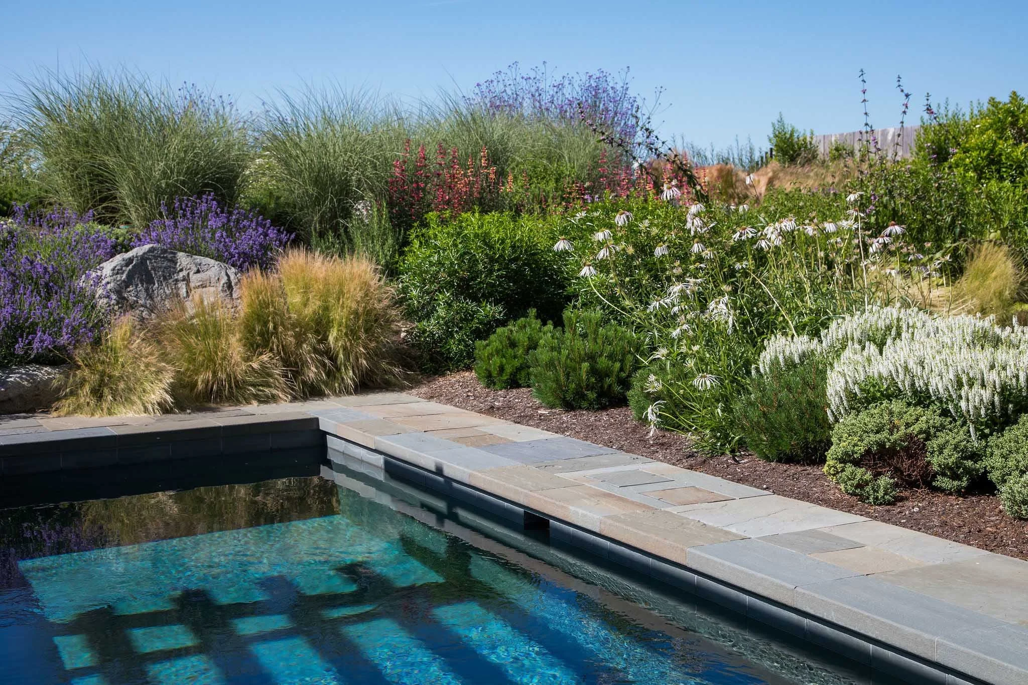 terraform-landscaping-west-vancouver-iii-41.jpg