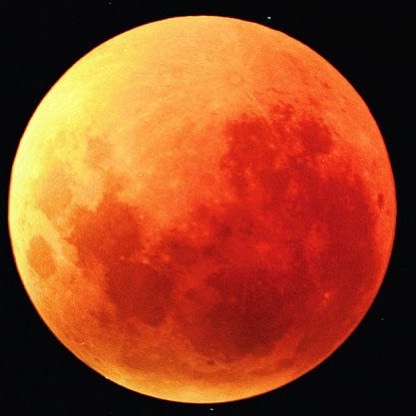 Did you all get to check out the blood moon 🌚 eclipse?? How powerful was that??? What an incredible time to focus on manifesting our dreams and wishes.  Now is the time to get out of your comfort zone. Is there something you have been wanting to do 