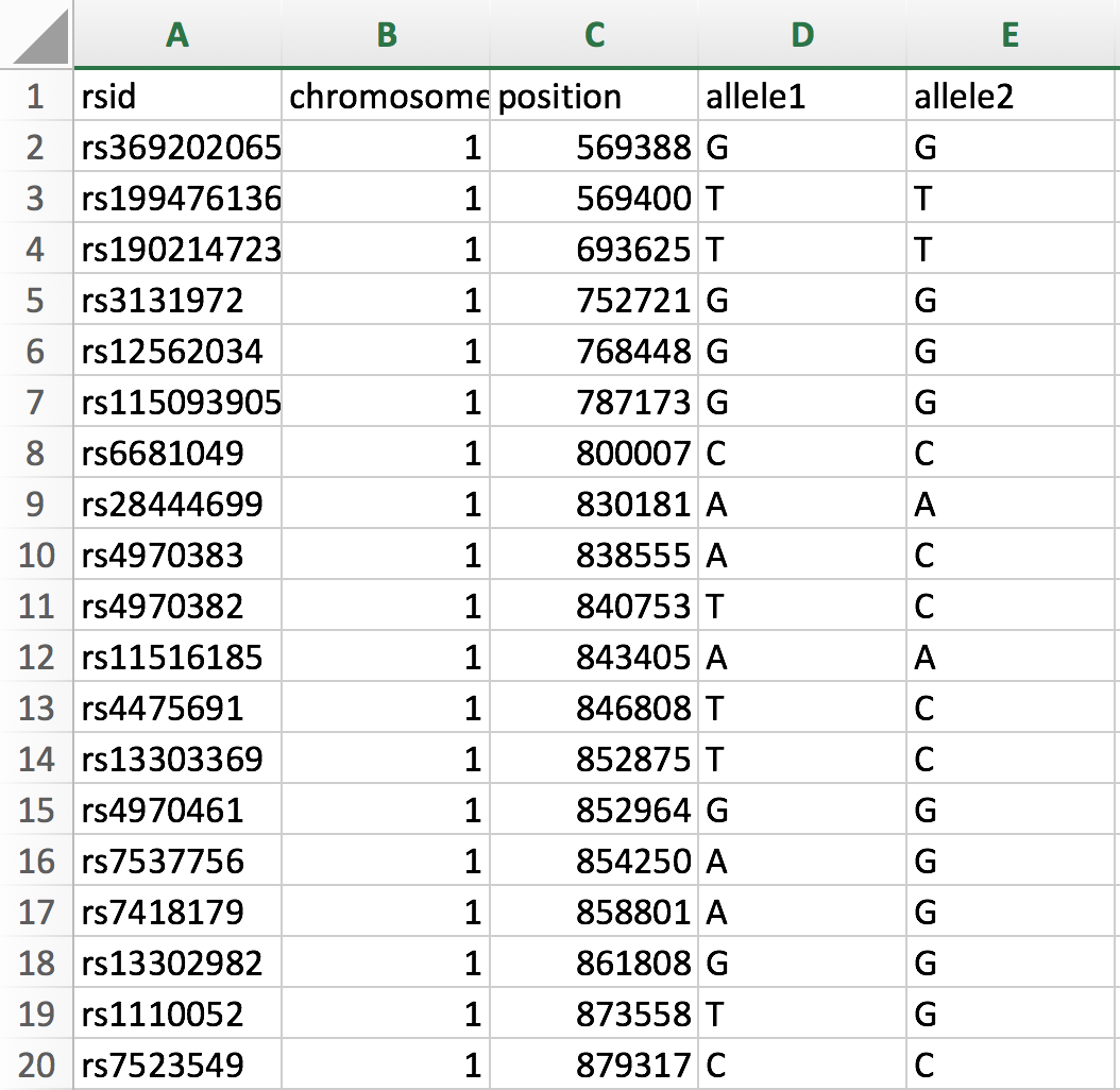 Screenshot of raw DNA spreadsheet from Ancestry.com