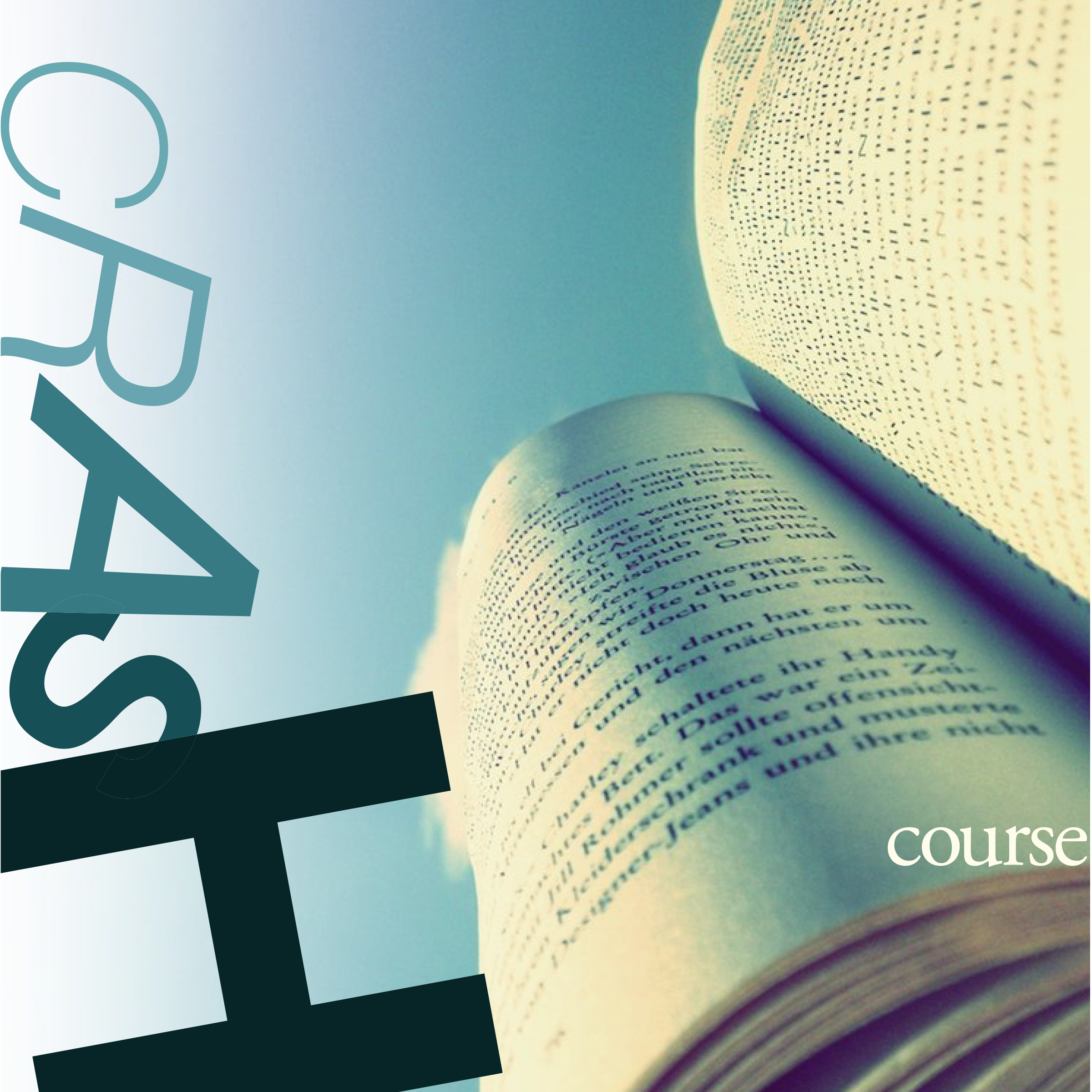 Type, Image &amp; Meaning