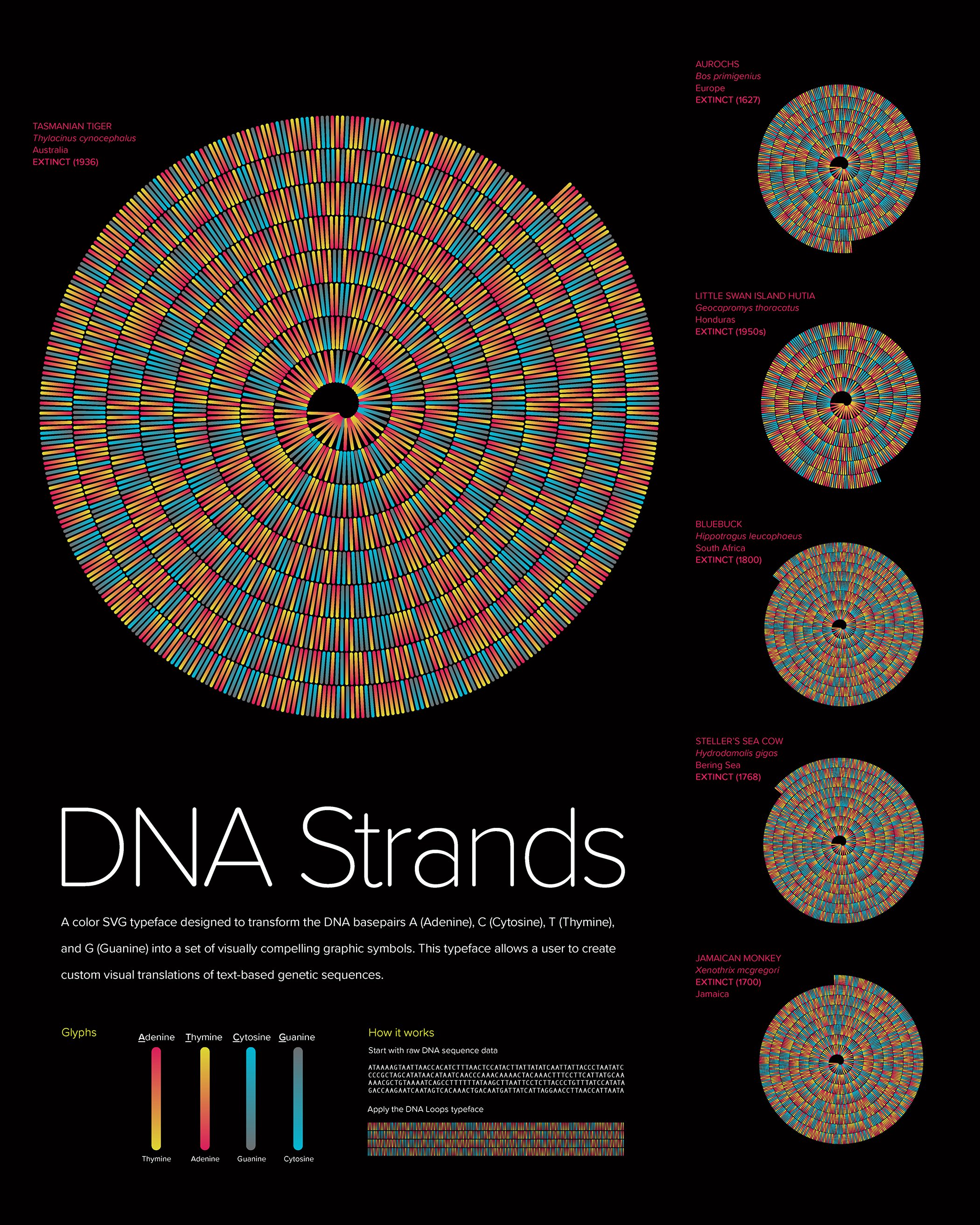 Barr_DNAStrands_PosterExplanation.jpg