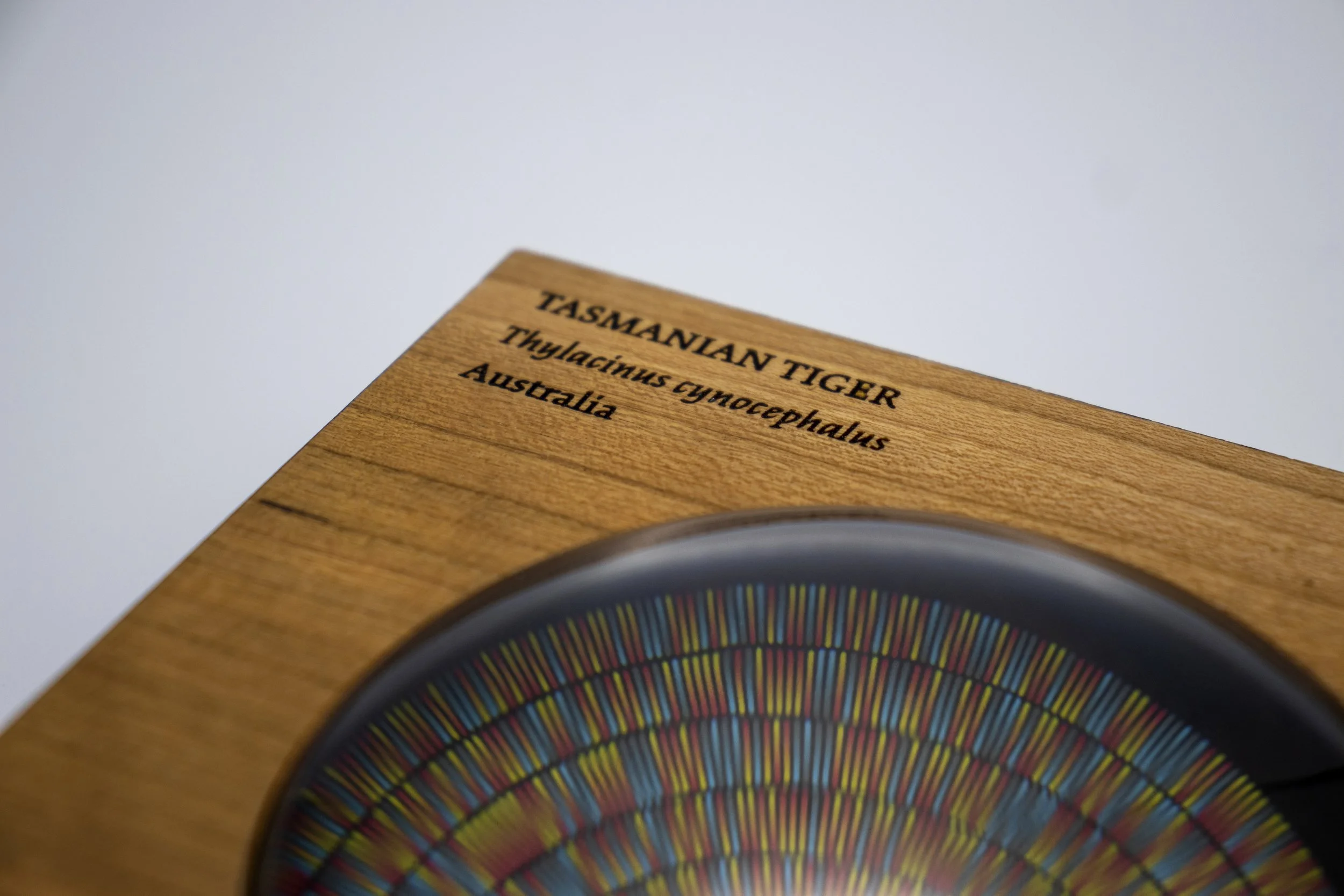 Genetic Artifacts: Extinct Mammals