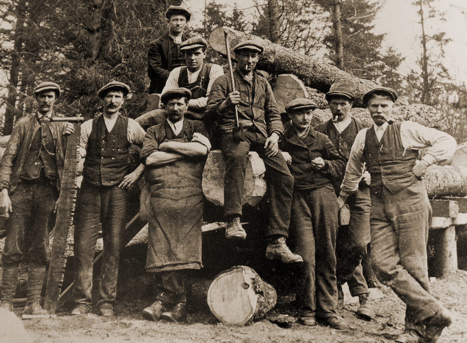 fh_bg_003_brown.png