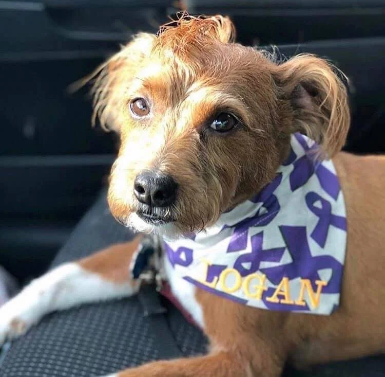 Awareness and Causes