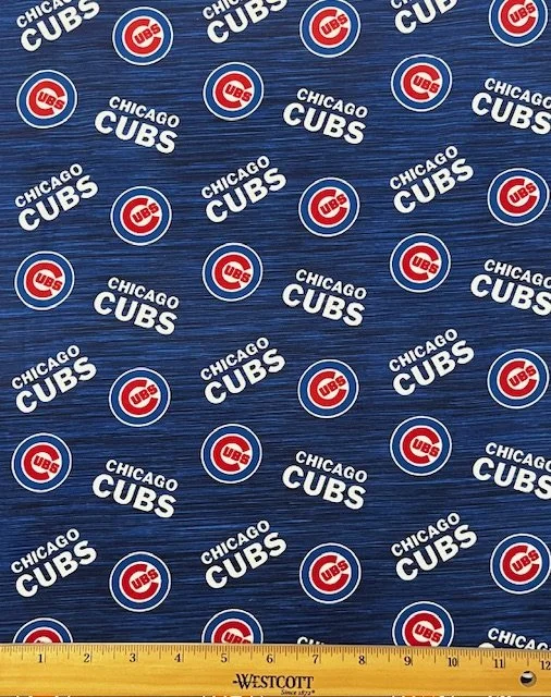 Chicago Baseball - Heather