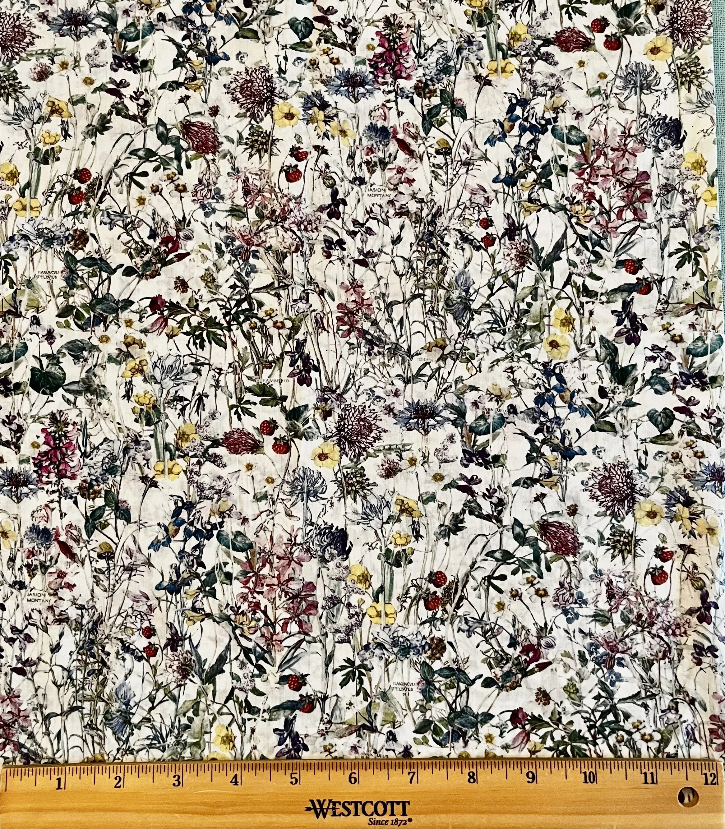 Liberty - Wild Flowers