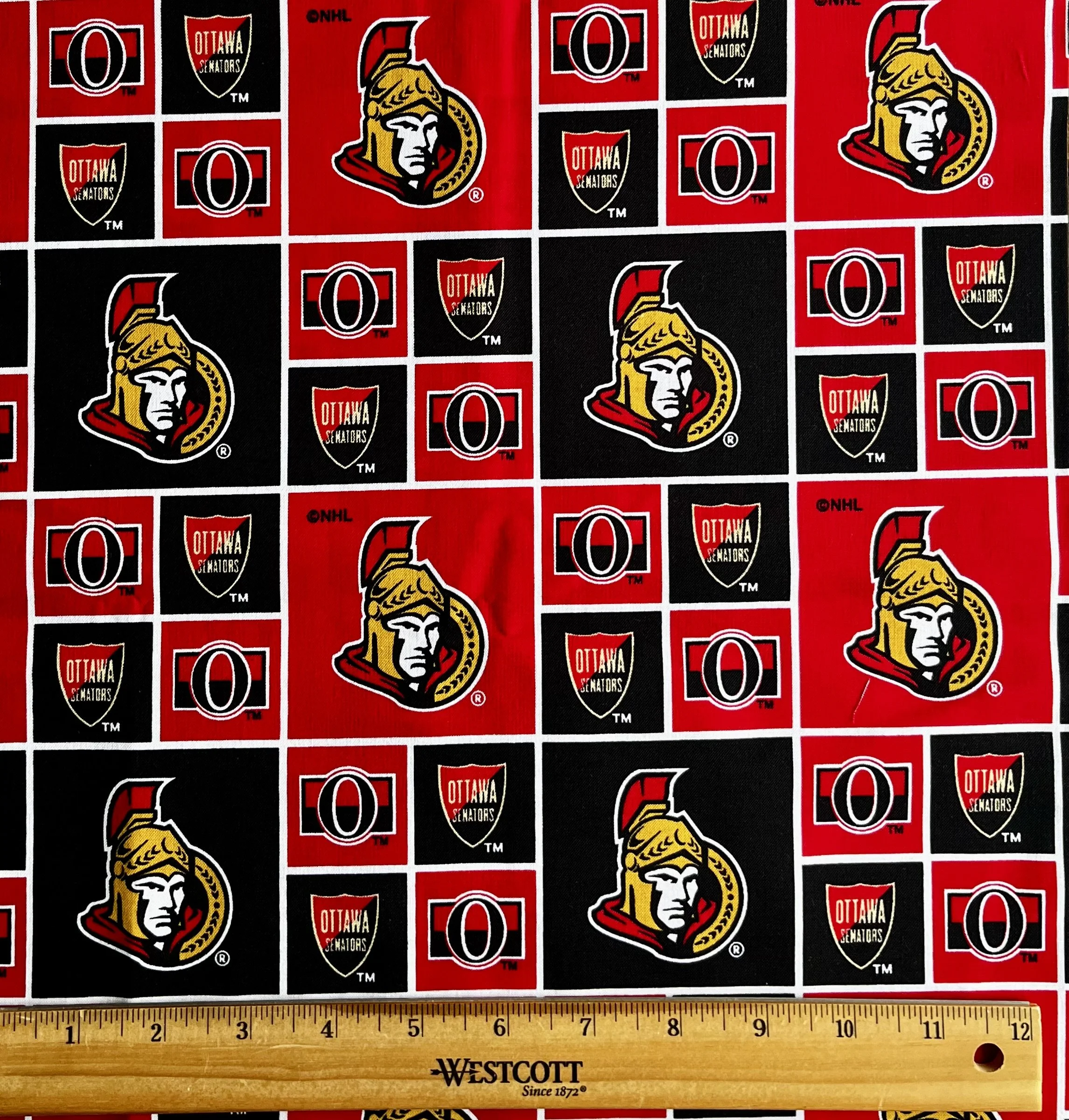 Ottawa - Hockey