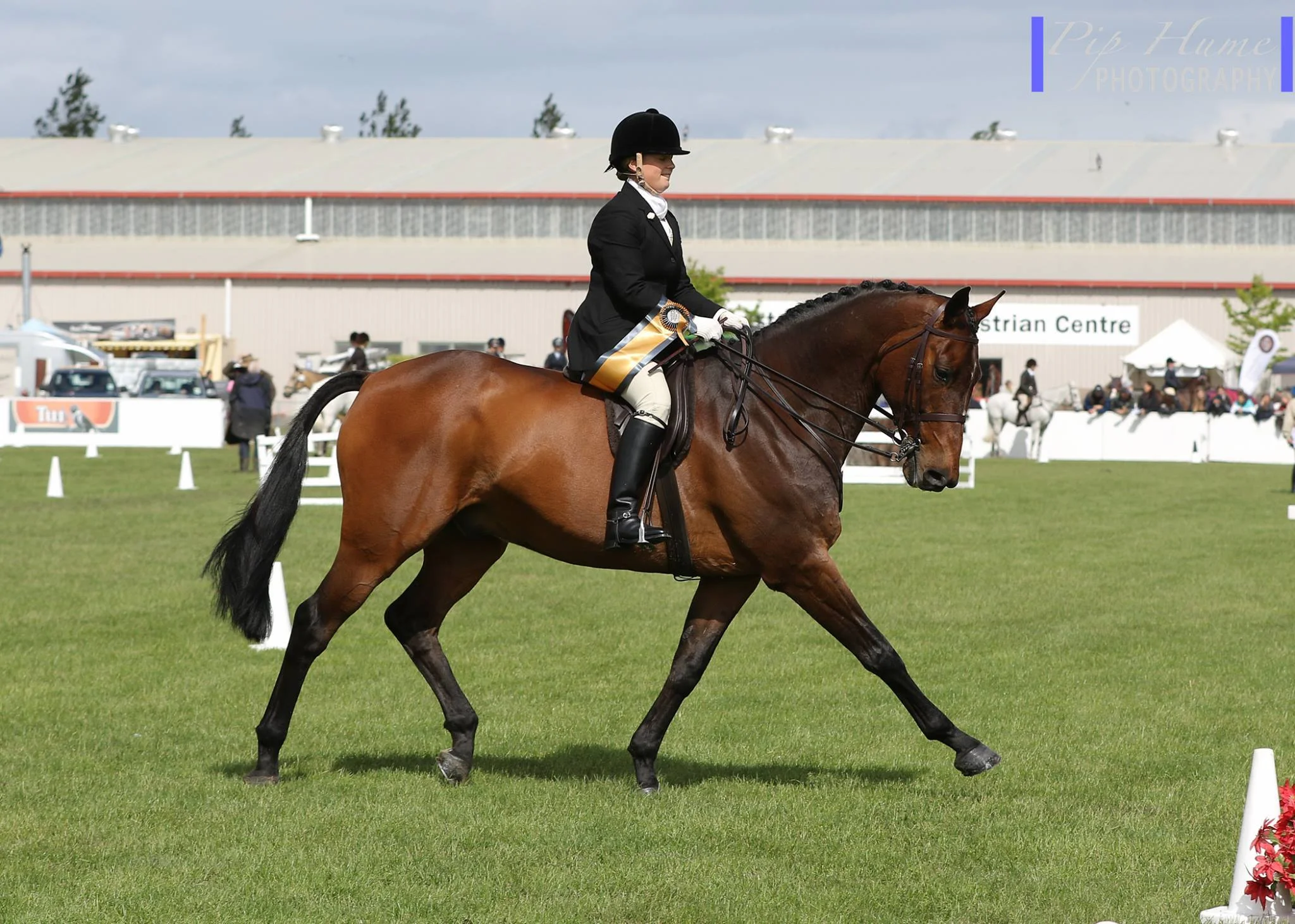 2015 winners of the Prestigious Diana Rainey Memorial turnout prize - Harriet Redmond and Teodoro.