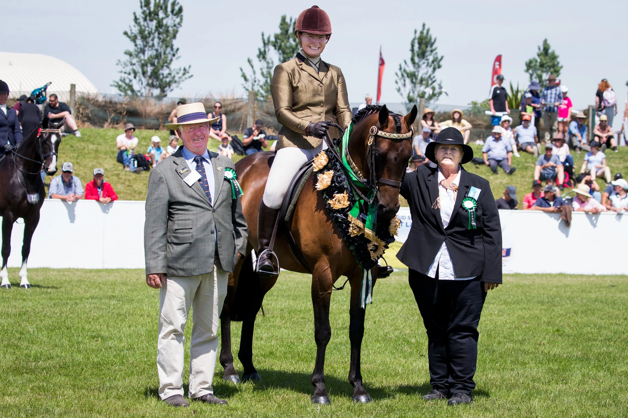 Dani Simpson: Showing & Dressage Canterbury, New Zealand