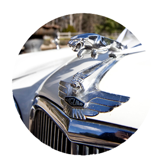 Wedding Car Hire testimonial