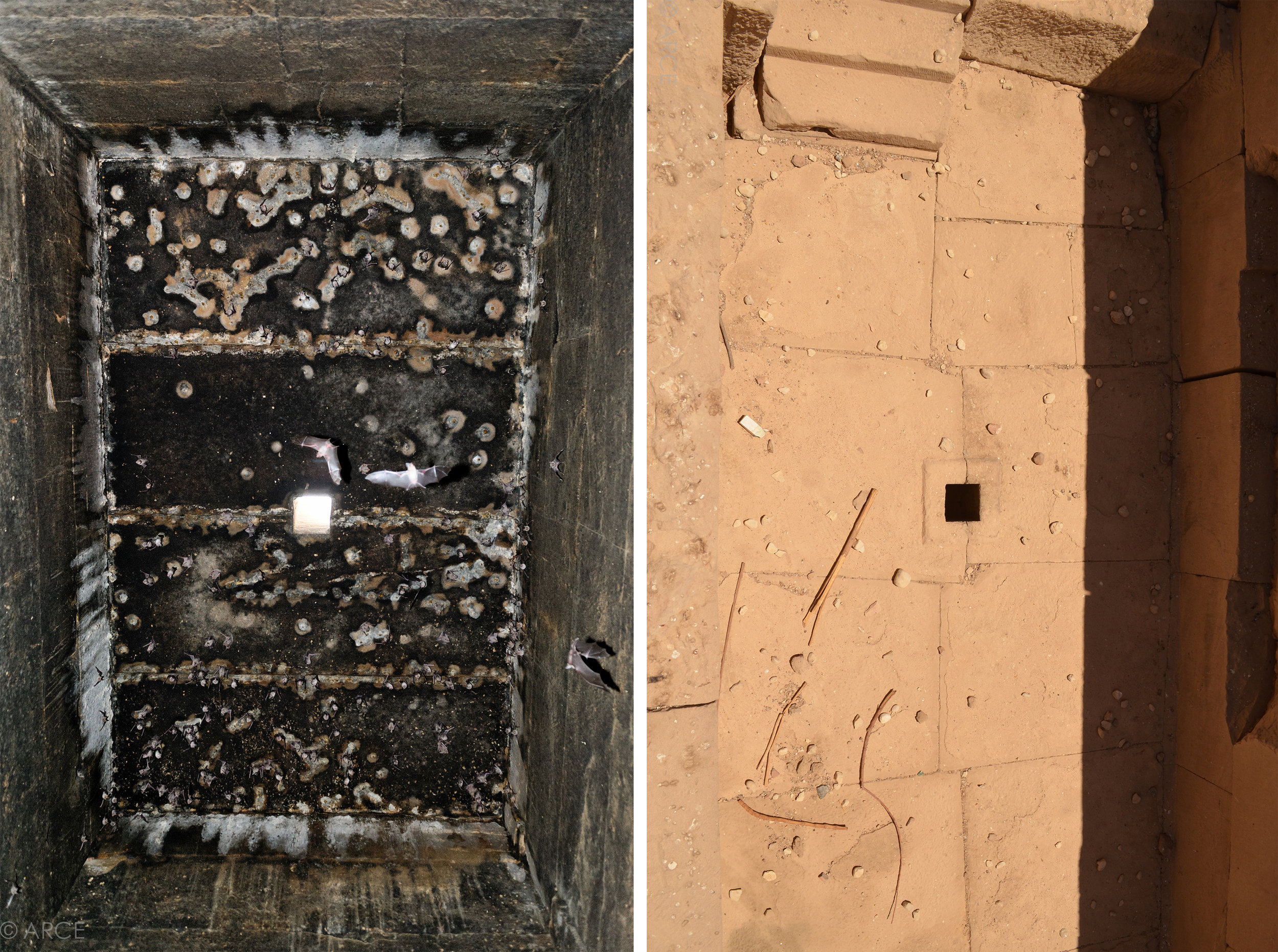  Bats roosting in one of the four side chambers in the temple. A small skylight in the ceiling was one of multiple egress points allowing the bats to enter and exit the temple. The skylight is shown both from inside looking up (left) and outside, loo