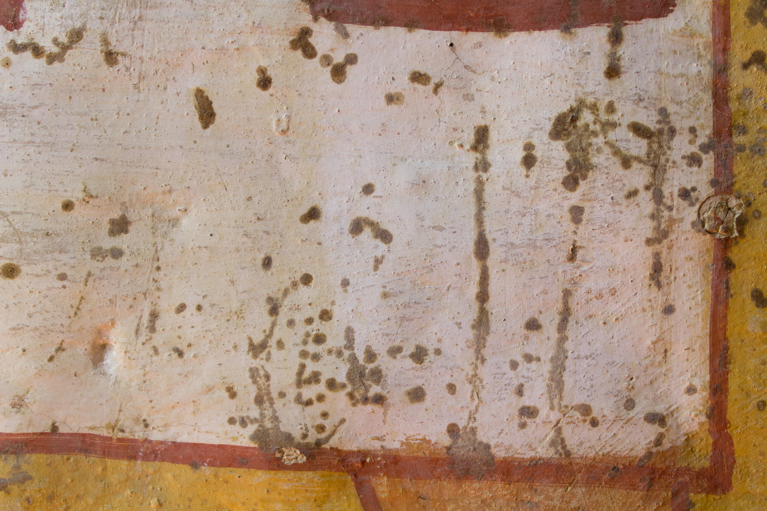  The non-original coatings had begun to deteriorate and yellow, discoloring the paintings. A yellowing coating is visible where it remains on the left side of the image as compared to where it has been removed from the right.&nbsp;  Image © J. Paul G