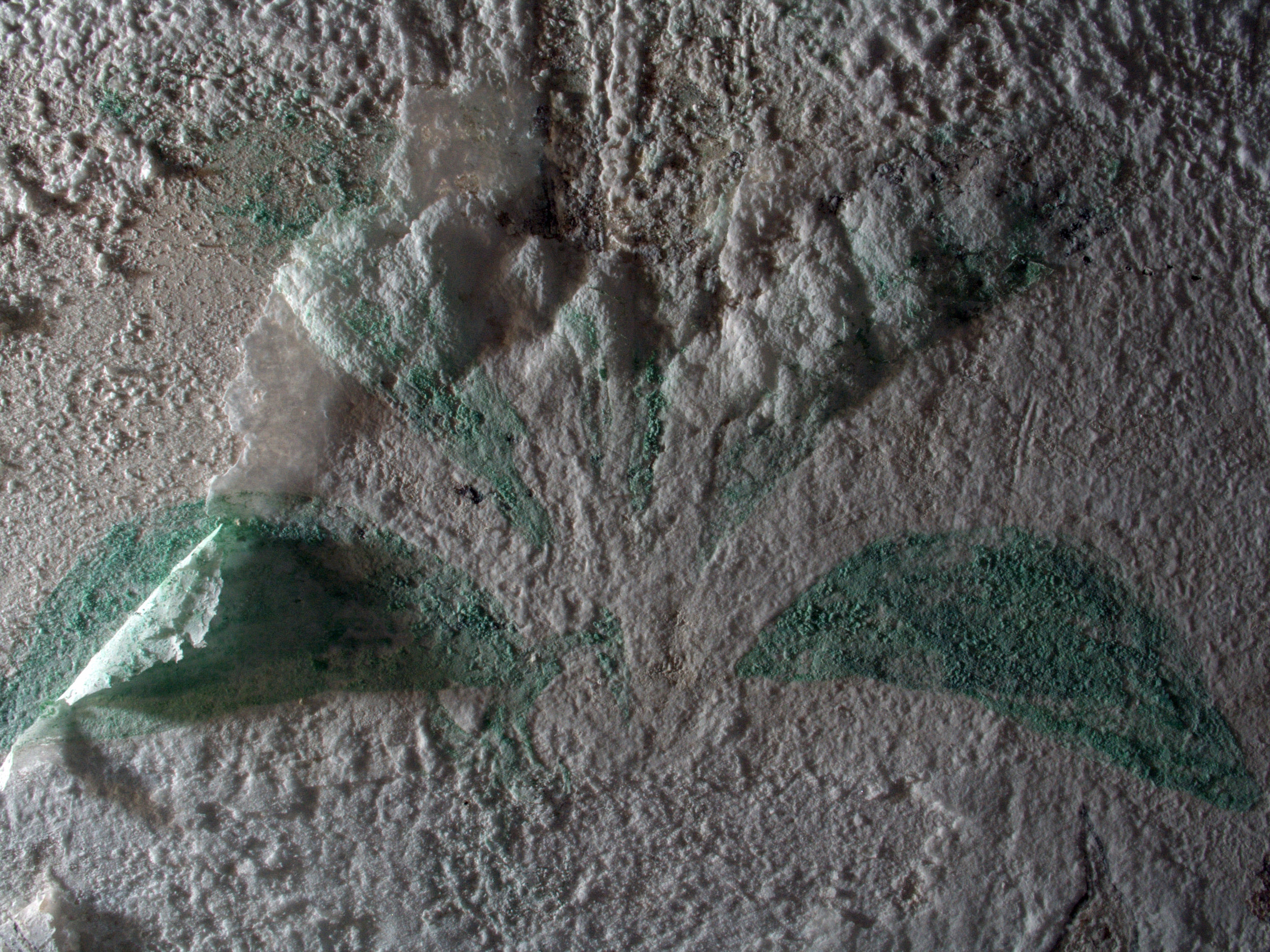  Salt crystals were pushing layers of paint off the wall.&nbsp;    Image © Courtauld CWPD 