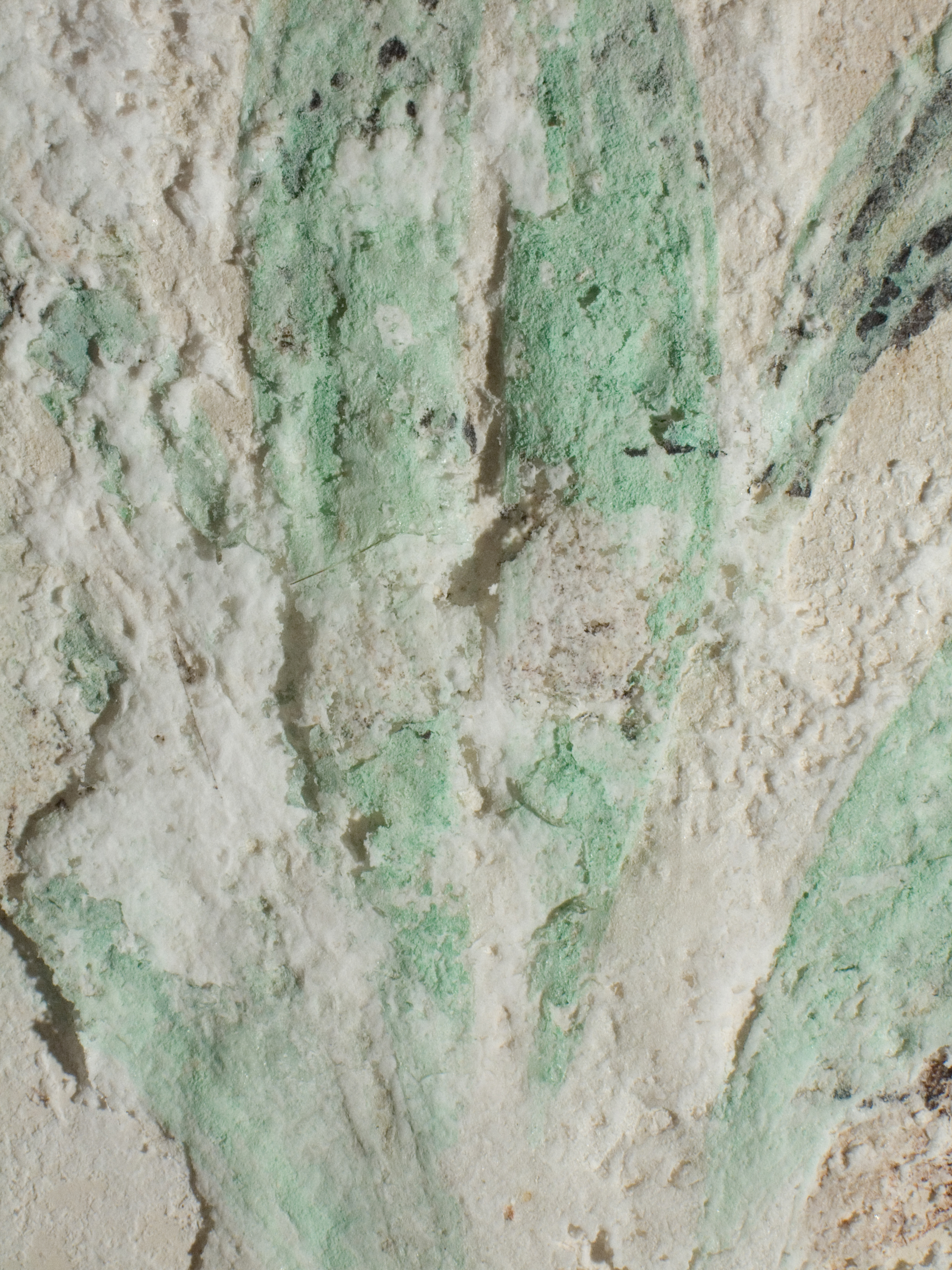  Salt crystals were pushing layers of paint off the wall.&nbsp;    Image © Courtauld CWPD 