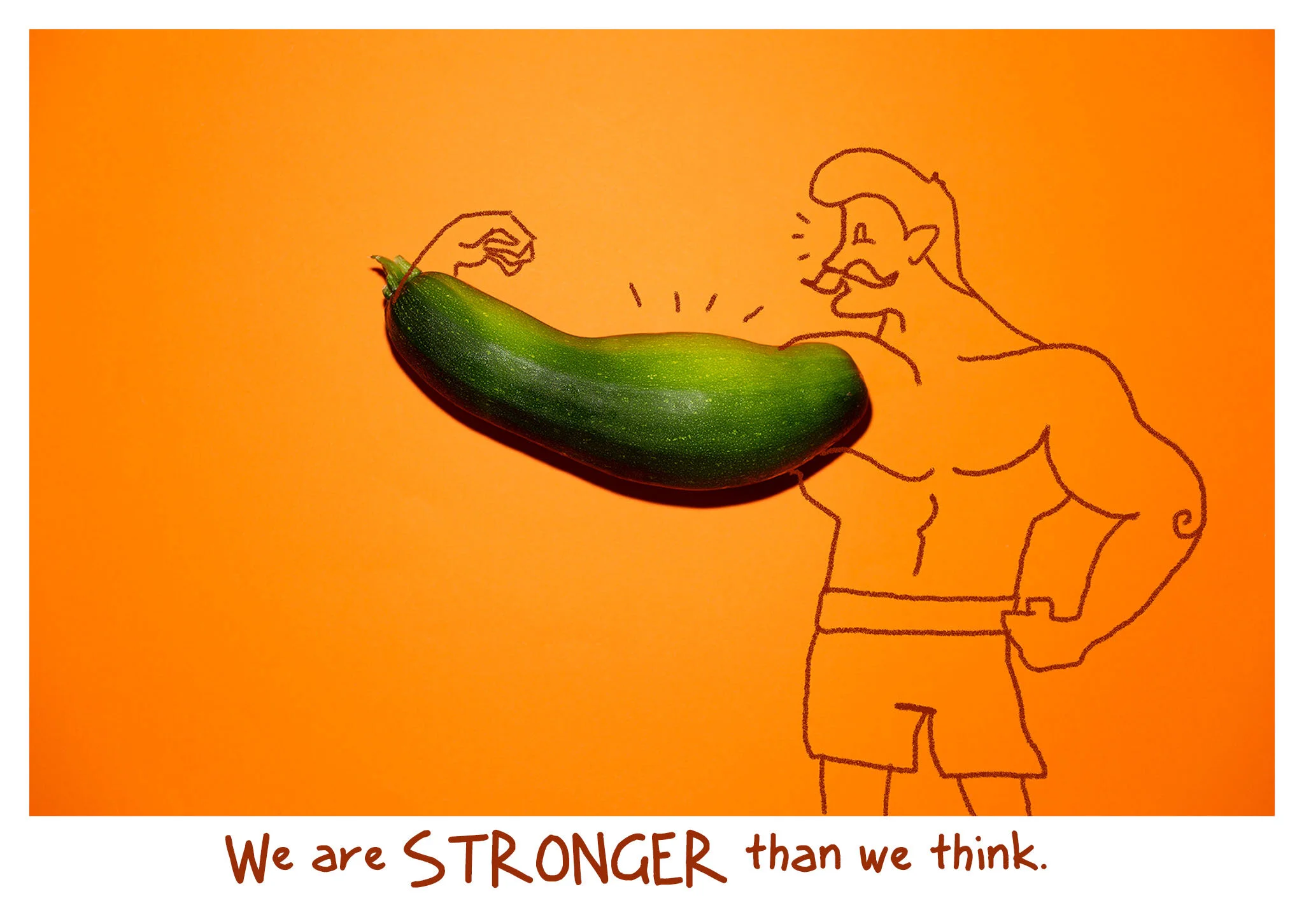 Postcard Set - 7 different designs included in this set  - Illustration and Photography Collaboration