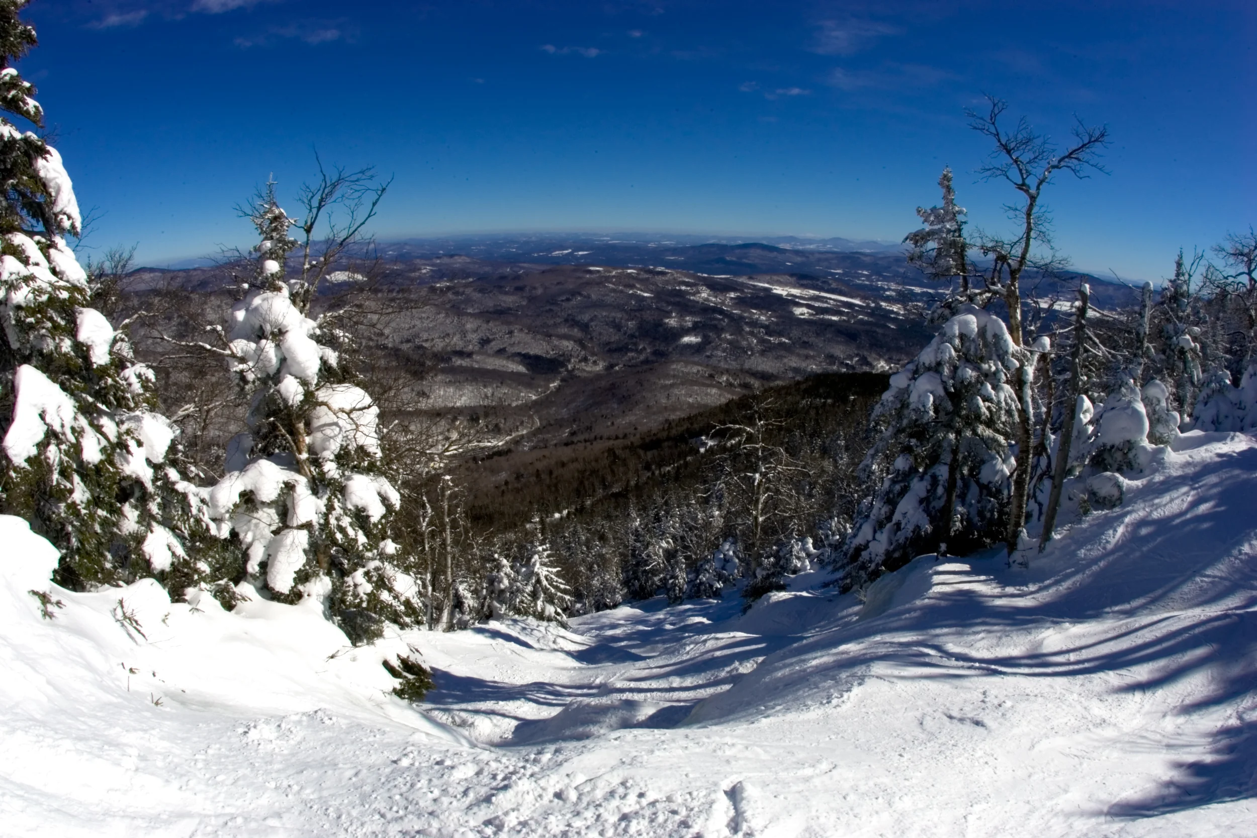 Paradise, Mad River Glen, VT