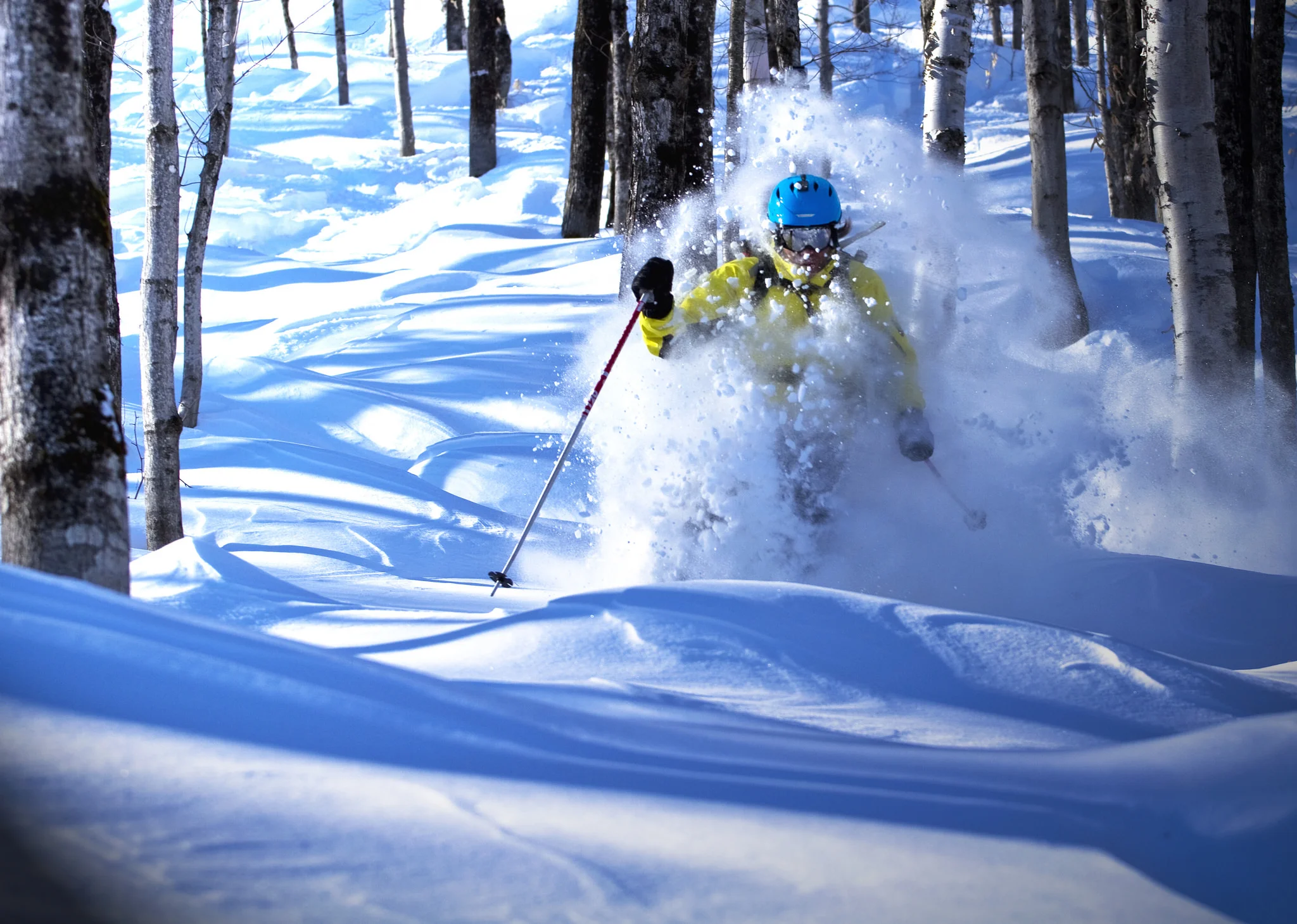 Trees, bump and powder skiing all at the same time be experienced at LeMassif, QC