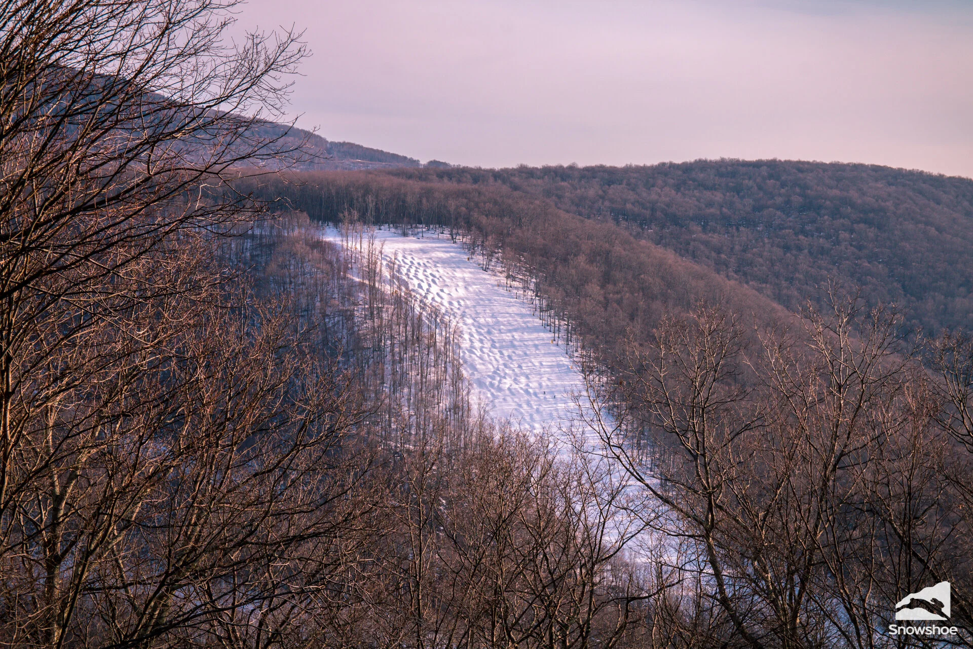 Lower Shay’s Revenge in all of its bumped up glory - Photo provided by Showshoe Mountain.