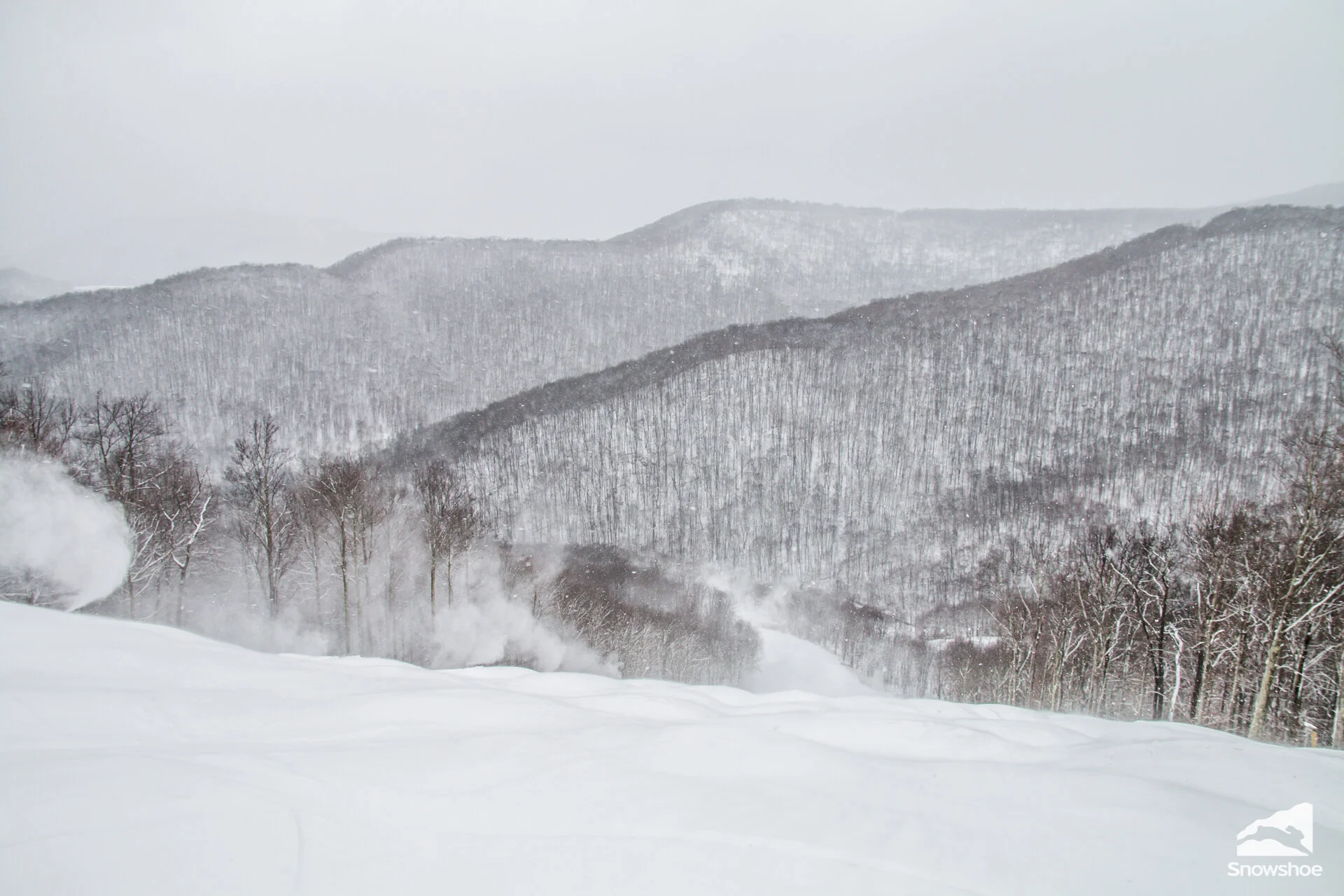 Looking down Lower Shays from the top. Photo provided by Snowshoe Mountain