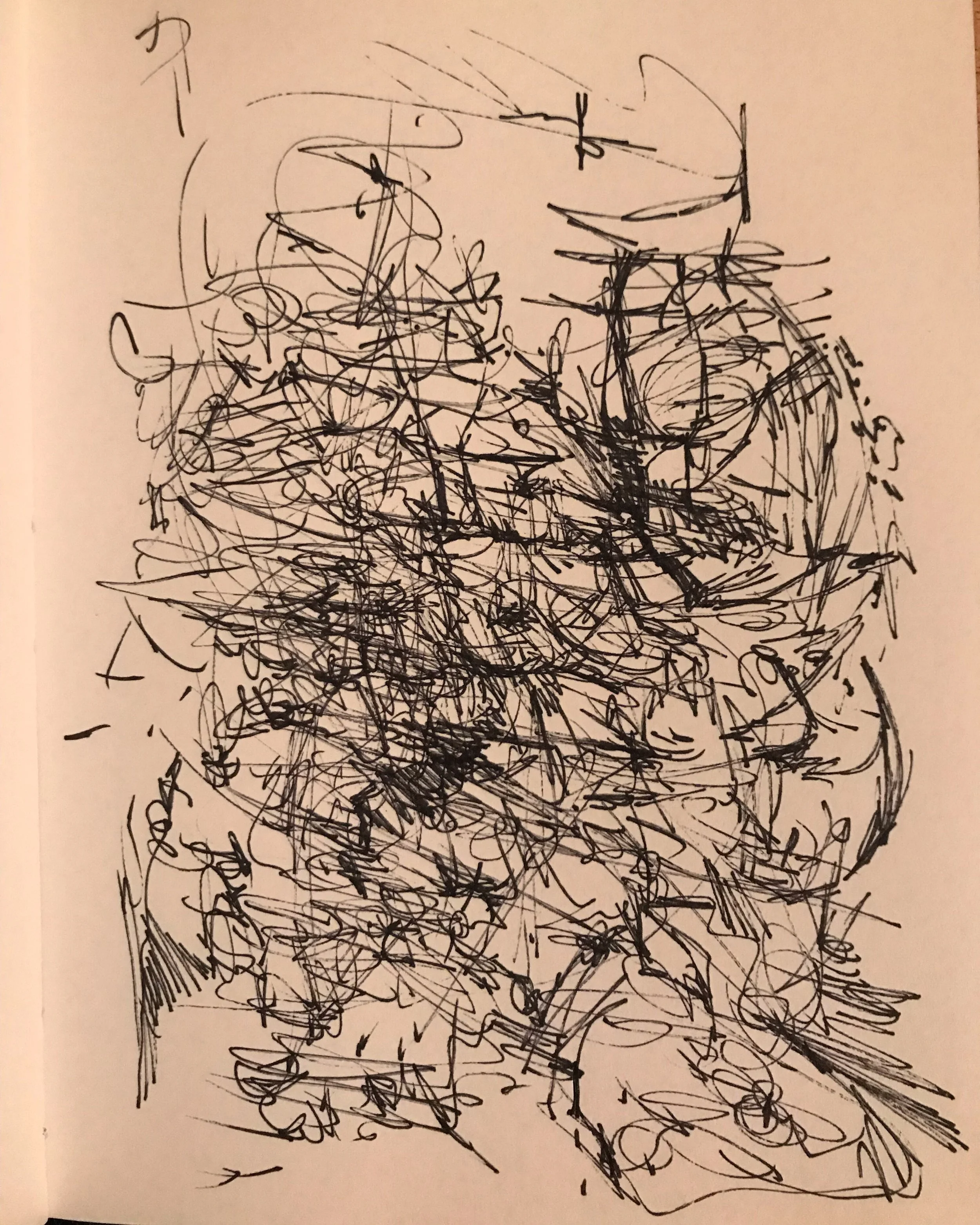 8F0B3BD3-FF5E-4F11-91C4-51BF01C867AC.jpg