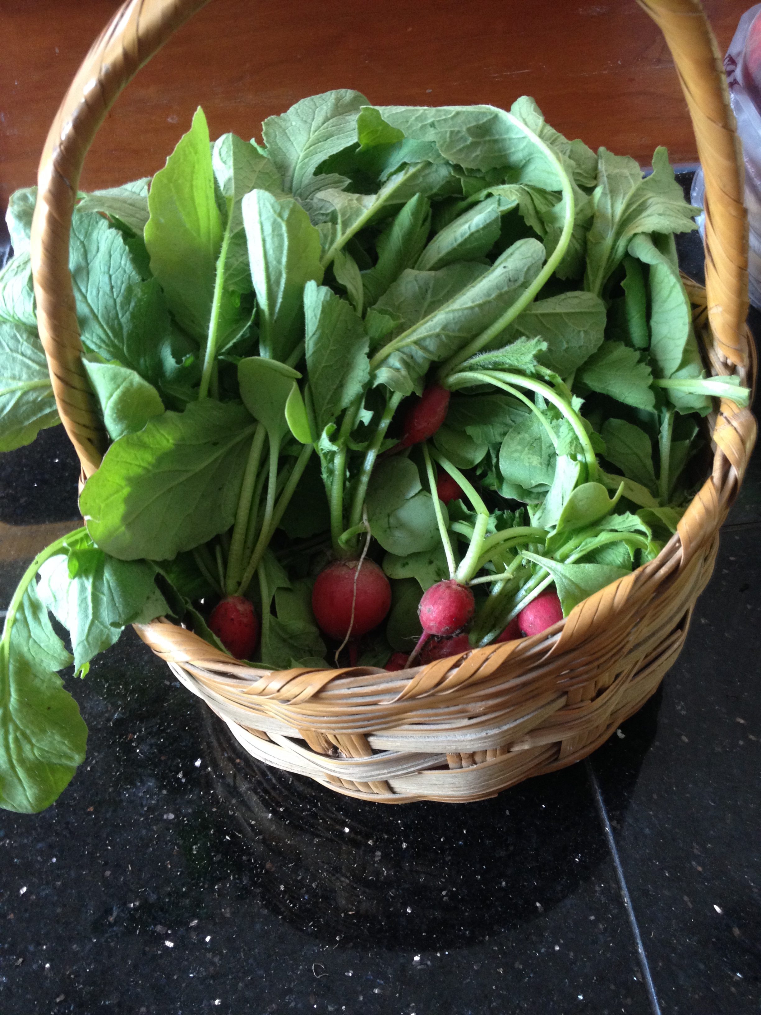 First Harvest