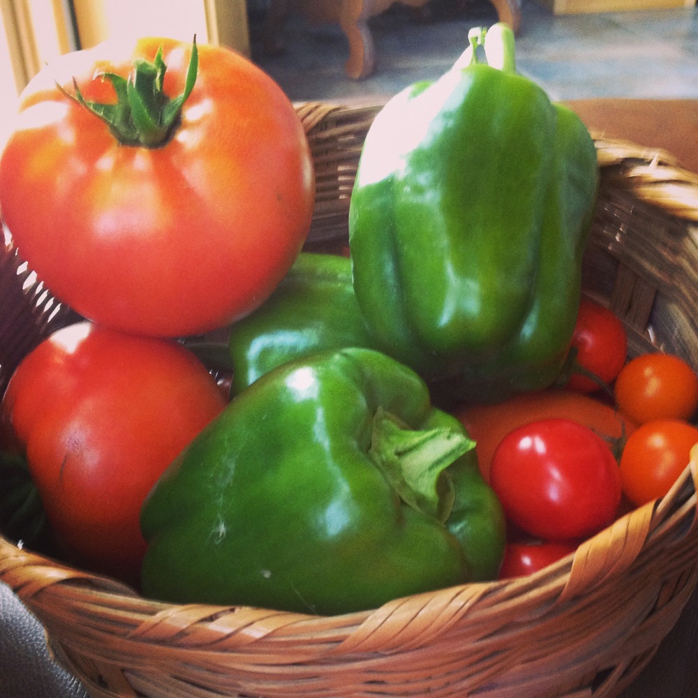 Finally some Tomatoes and Peppers