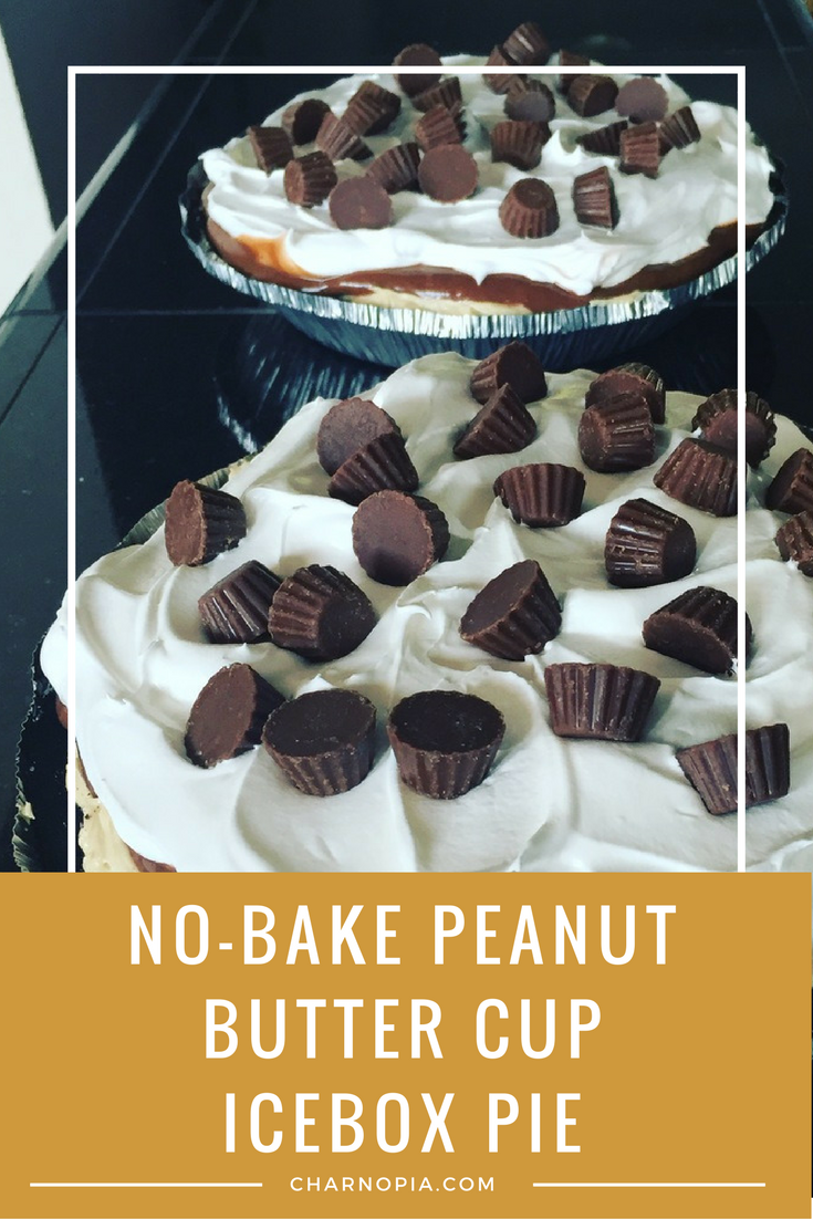 These No-Bake Peanut Butter Cup Icebox Pies are amazing. Your family will thank you for them. 