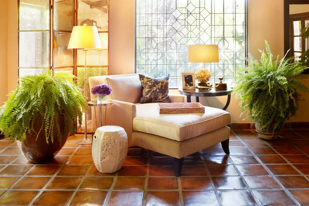 Client: Plantation, Venice, Ca.