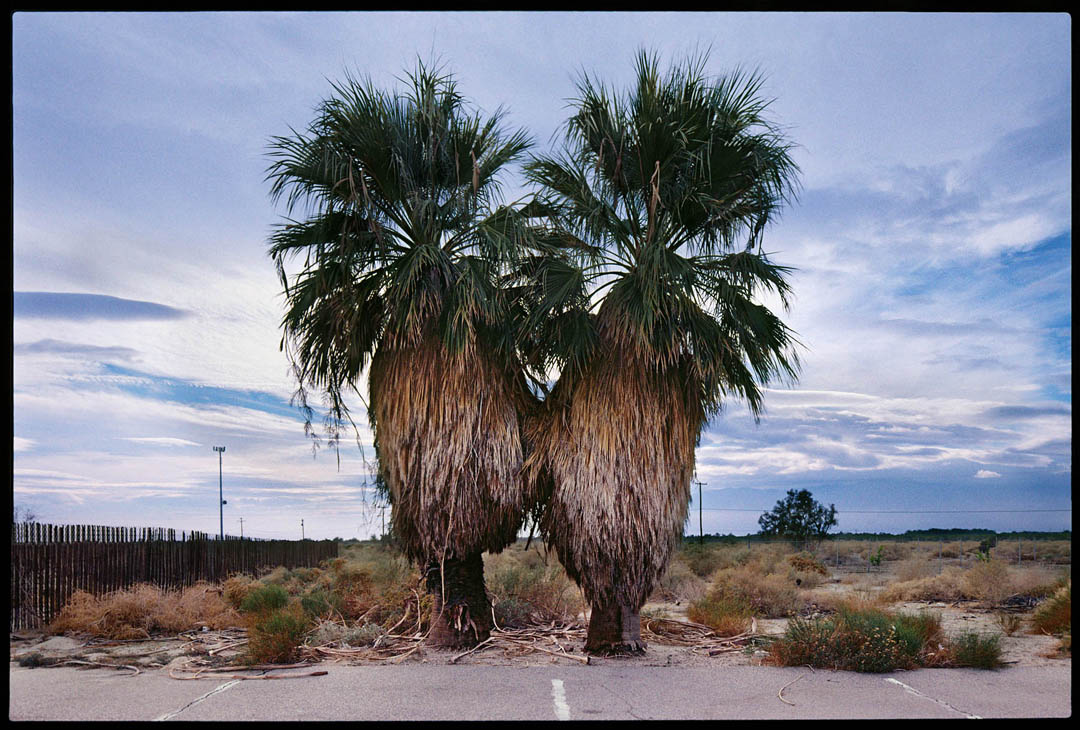 Two Palms, Salton Sea, Ca. 