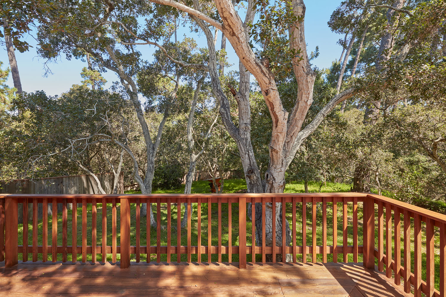 Master BR Deck and Backyard View