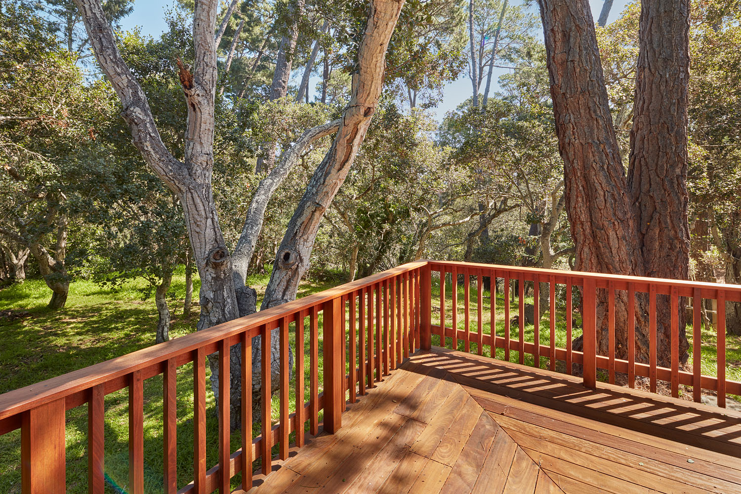 Corner of Master BR Deck and Backyard