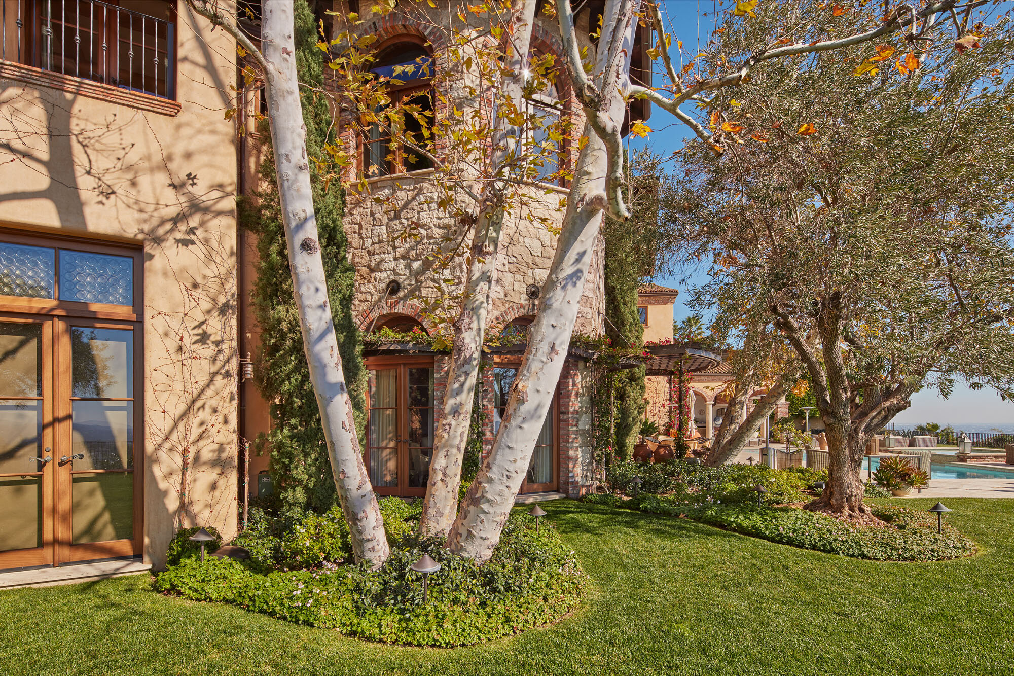 Hollywood Hills Backyard