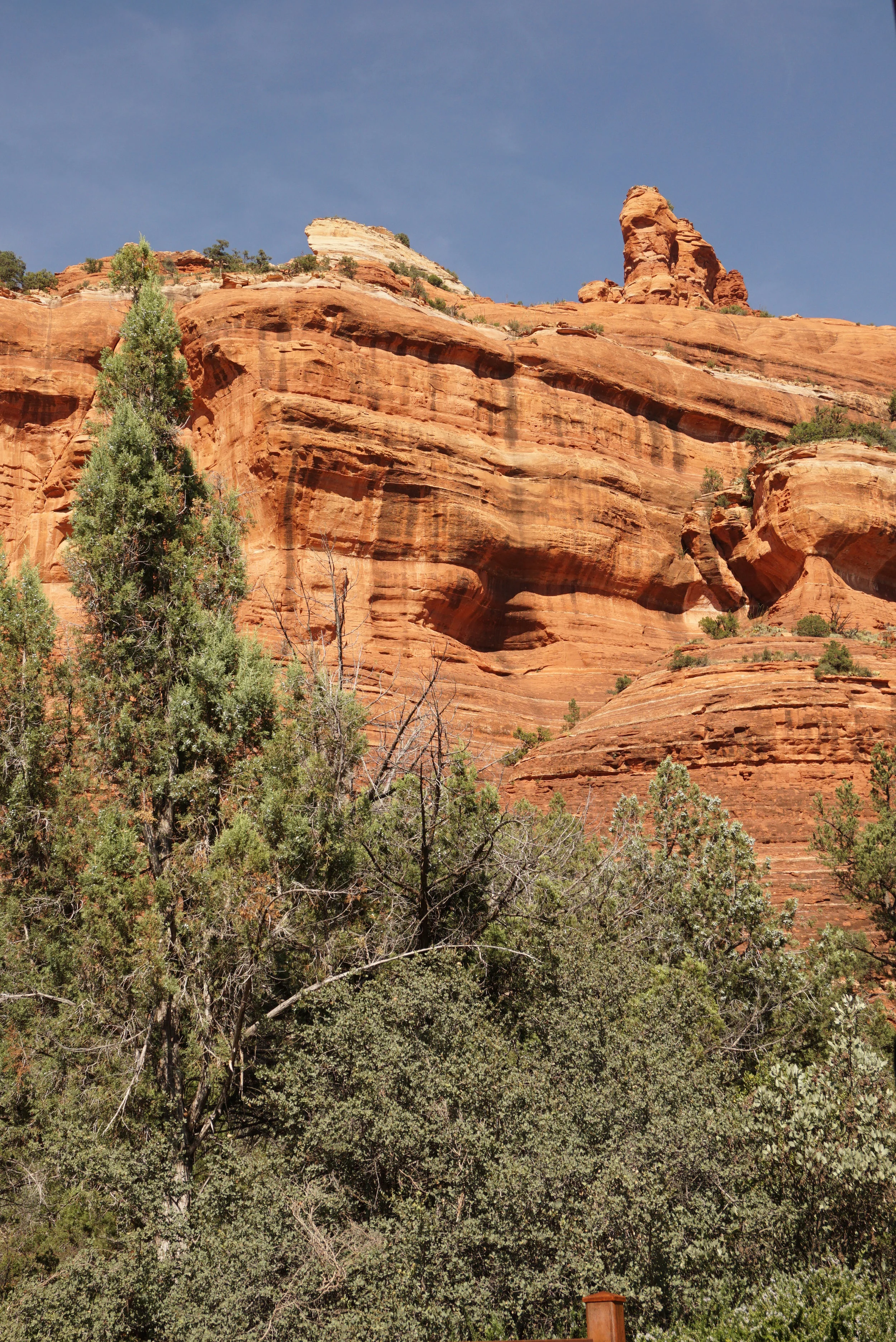 sedona-5.jpg