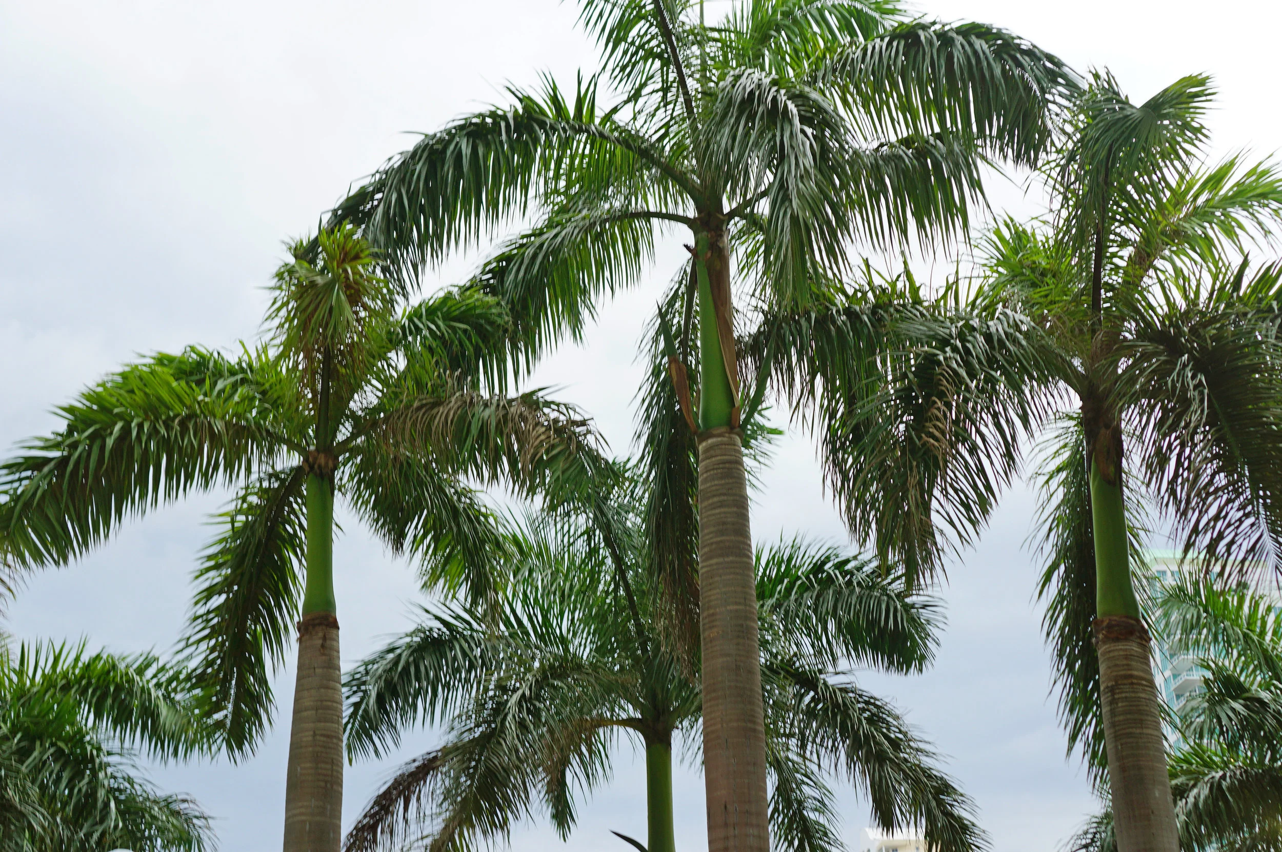 miami-east-2.jpg