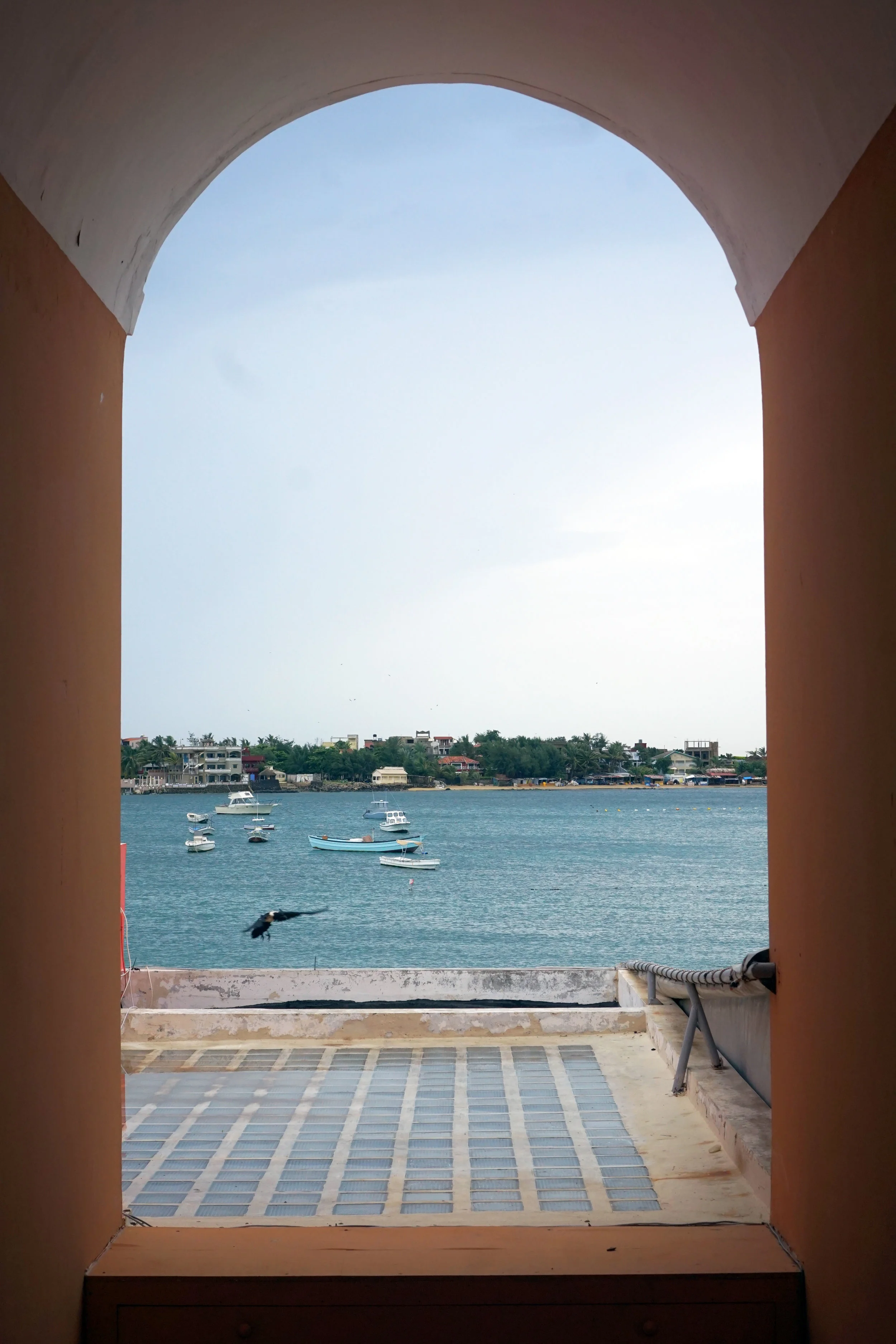 DSC01836.jpg